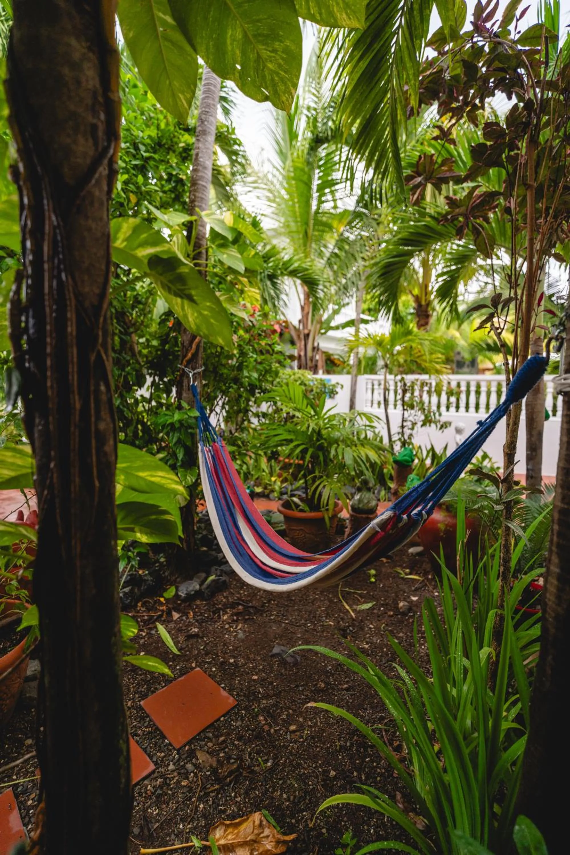Coconut Palms Inn