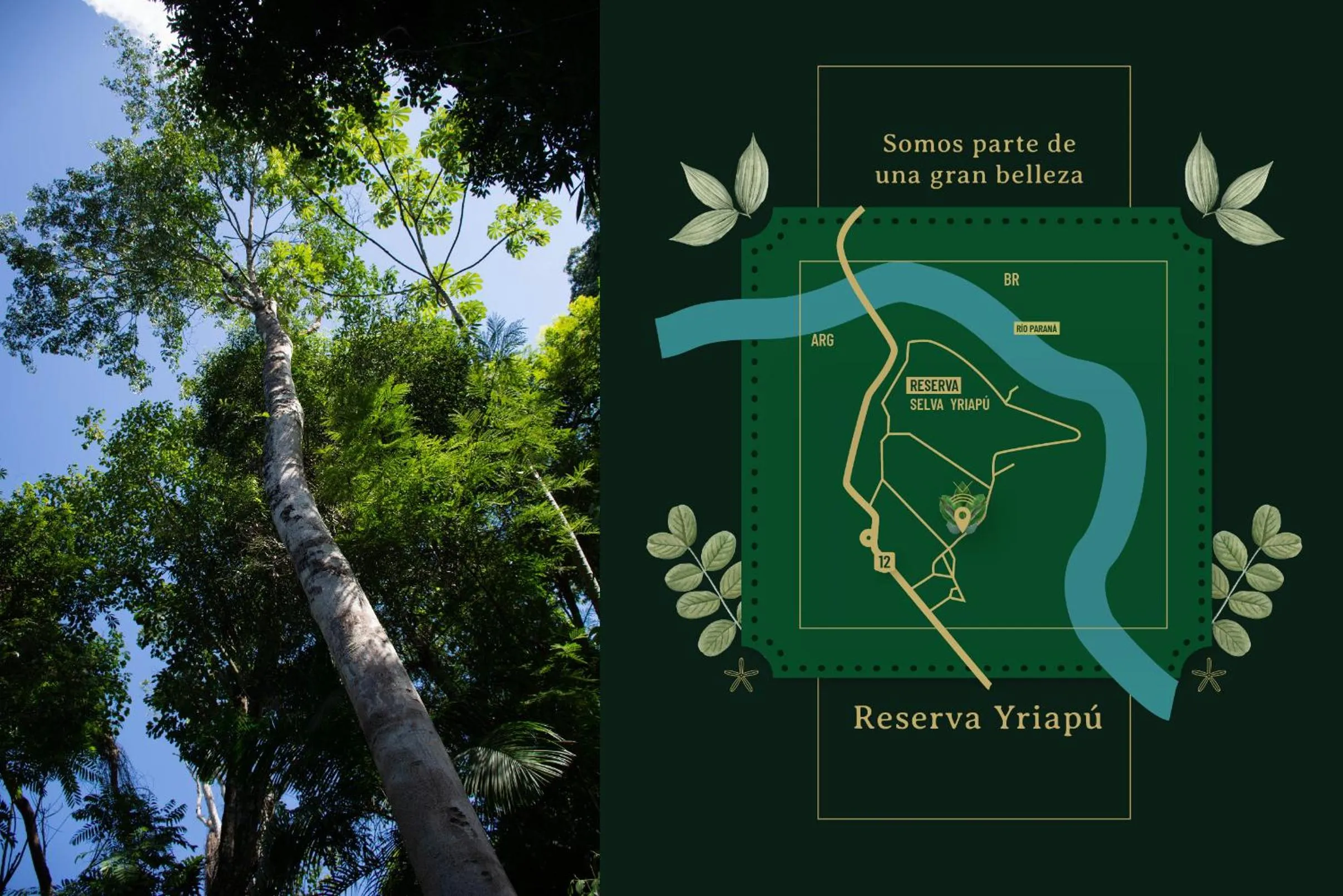 Location in Yvy Hotel de Selva