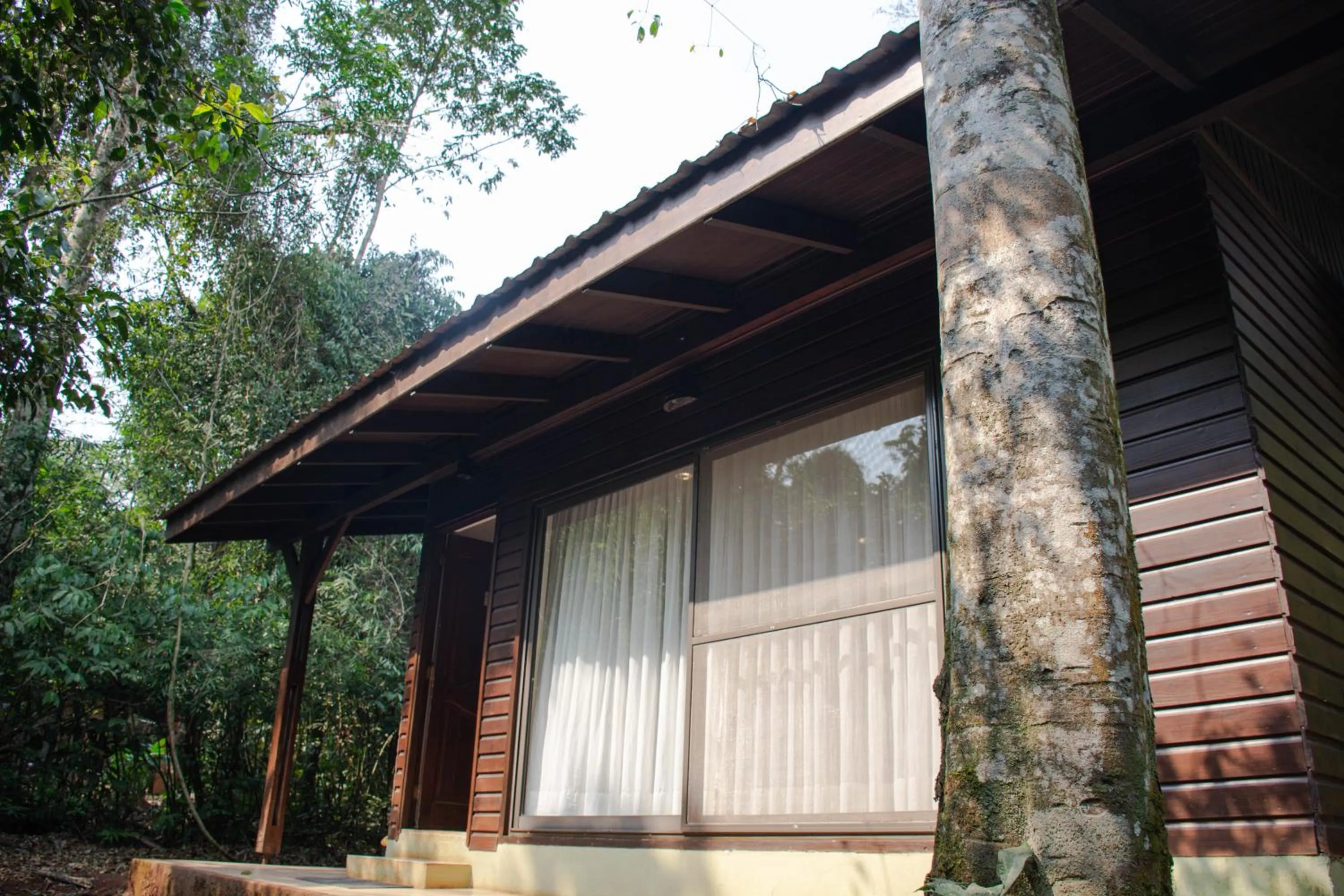 Off site in Yvy Hotel de Selva