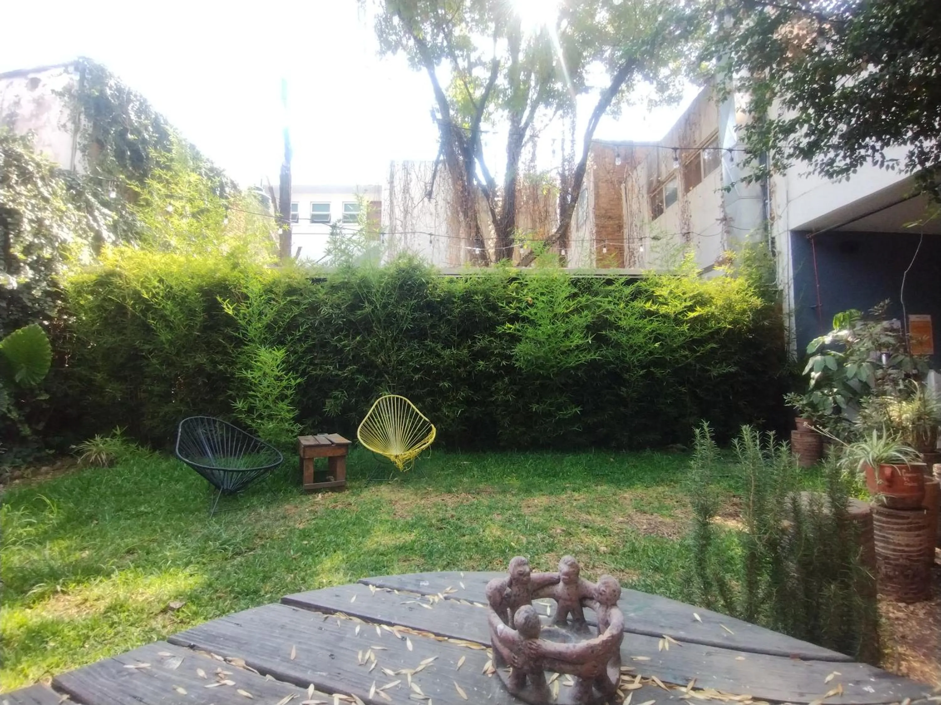 Garden view in Hostel Hospedarte Chapultepec
