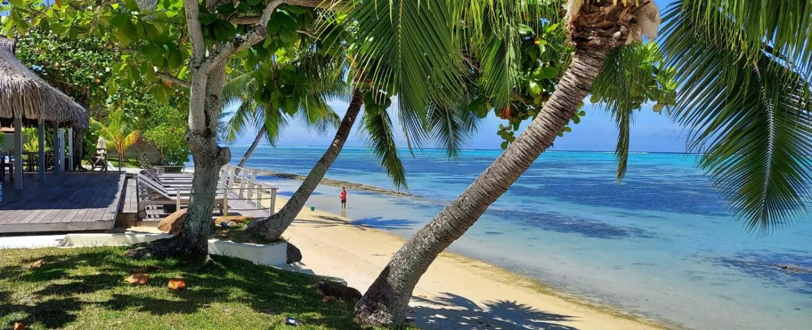 Moorea Island Beach Hotel