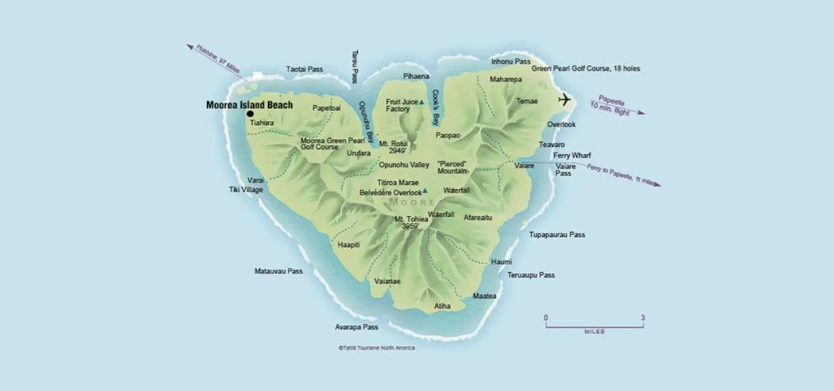 Bird's eye view in Moorea Island Beach Hotel