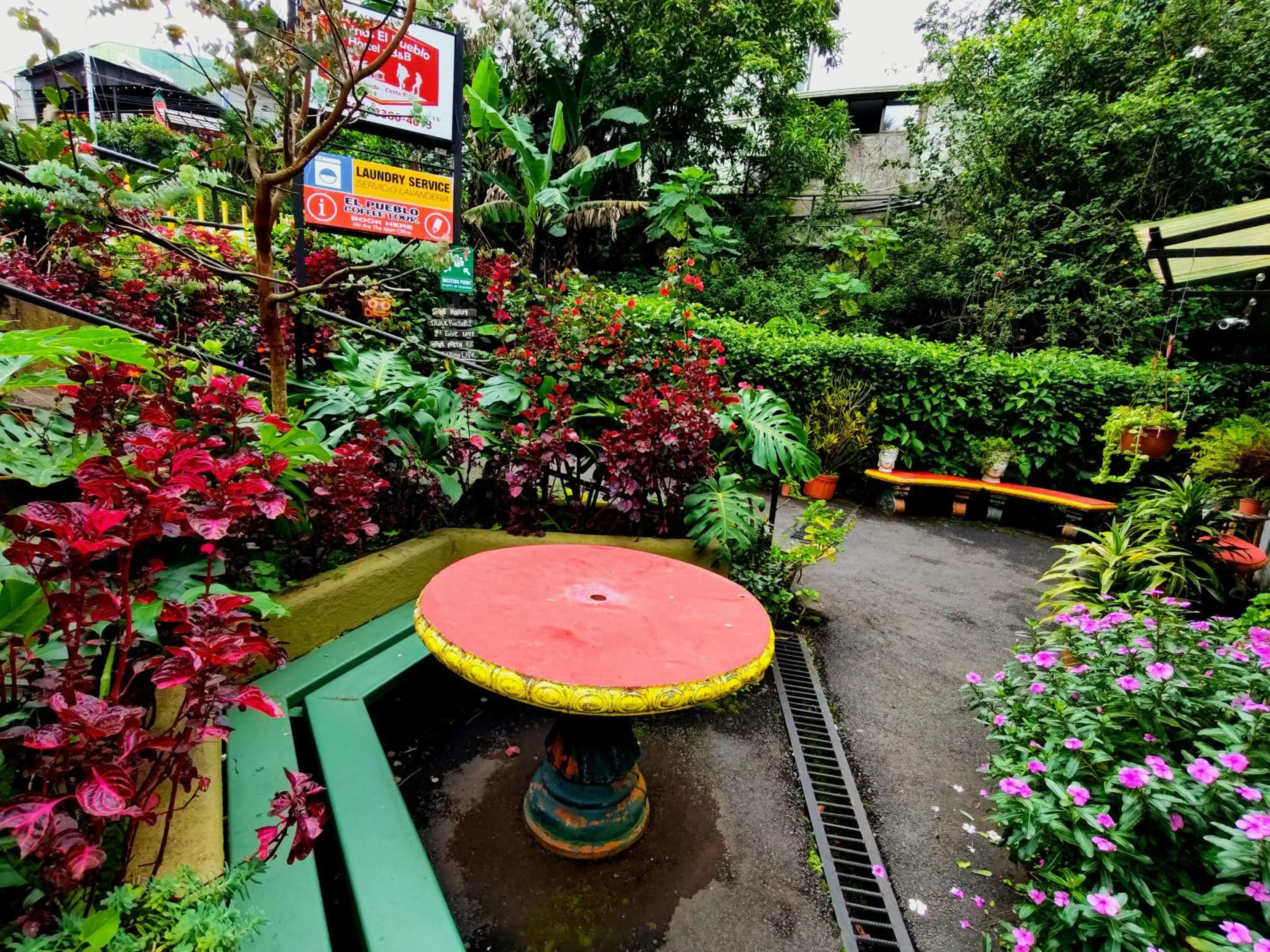 Garden view in Cabinas El Pueblo B&B Monteverde