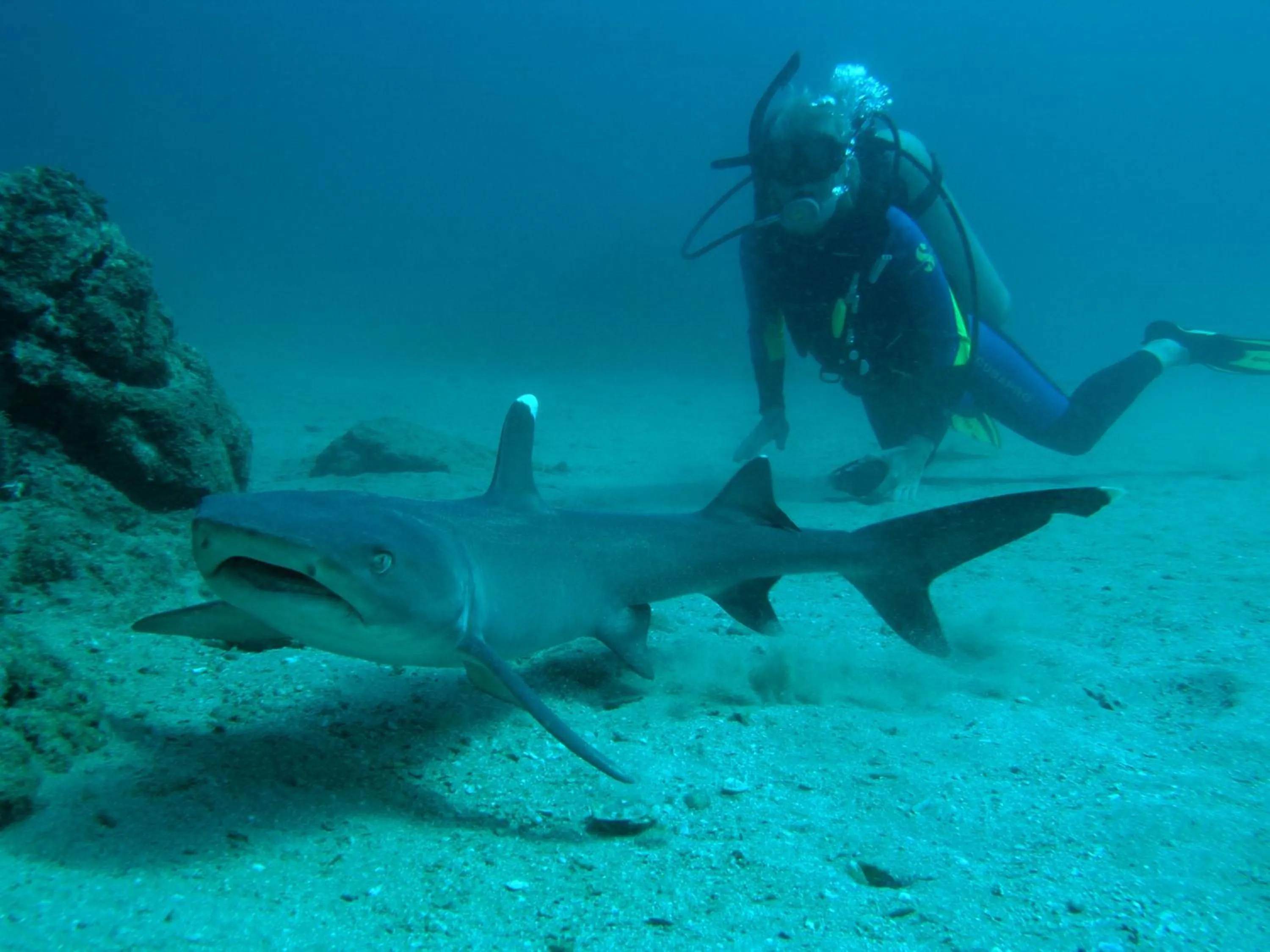 Snorkeling in Hotel Jinetes de Osa