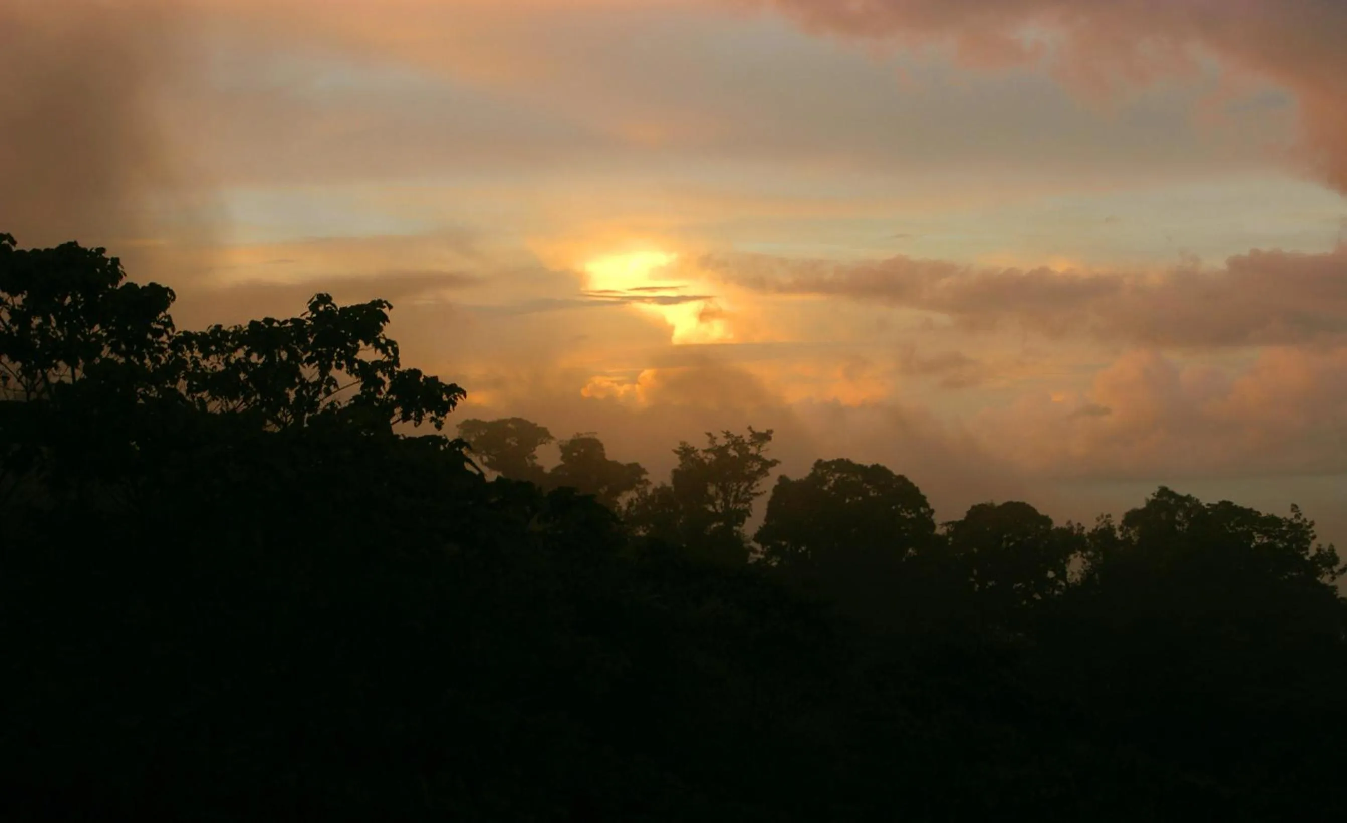 View (from property/room) in Hotel Jinetes de Osa