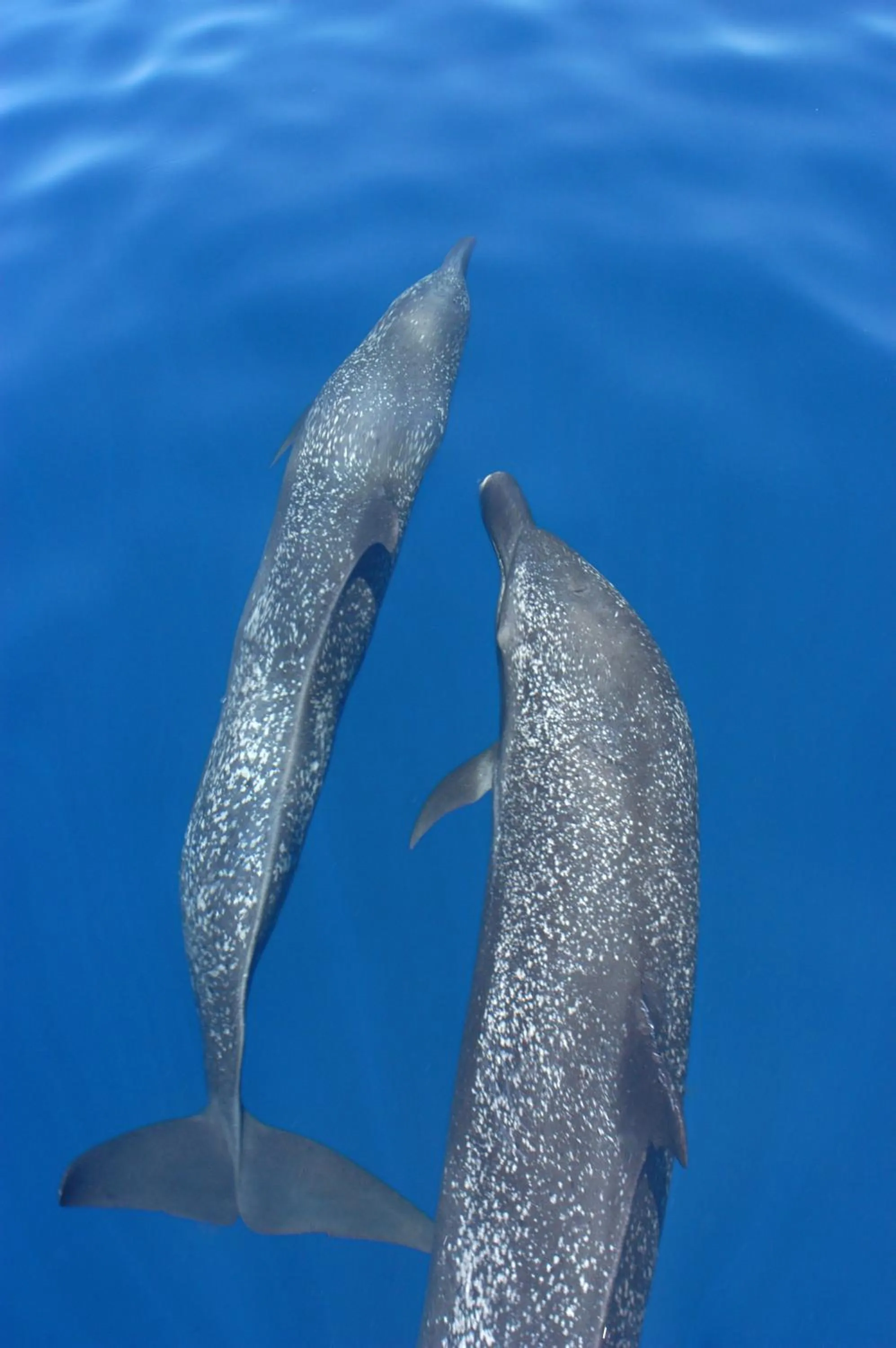 Other in Hotel Jinetes de Osa