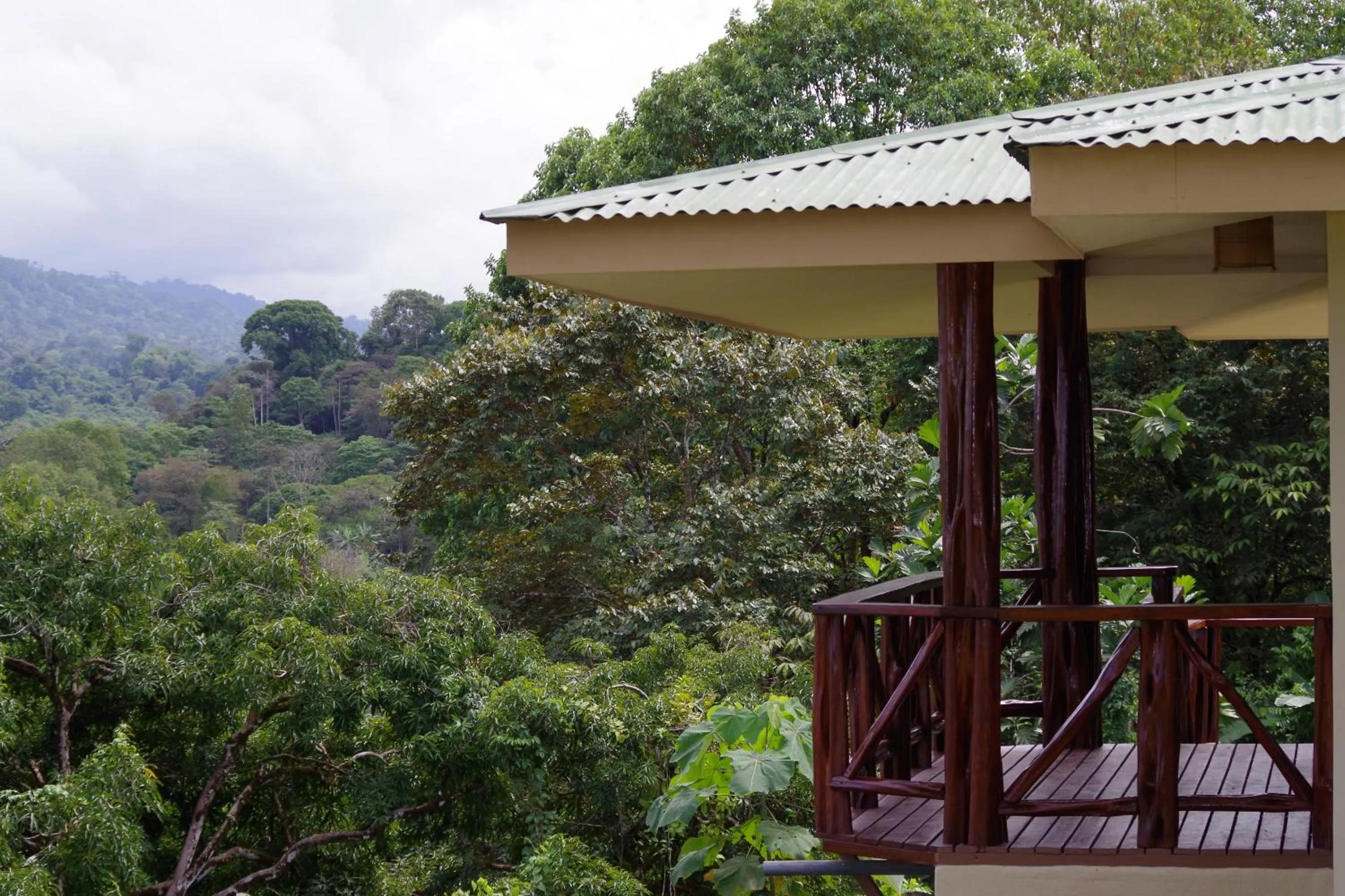 View (from property/room) in Hotel Jinetes de Osa