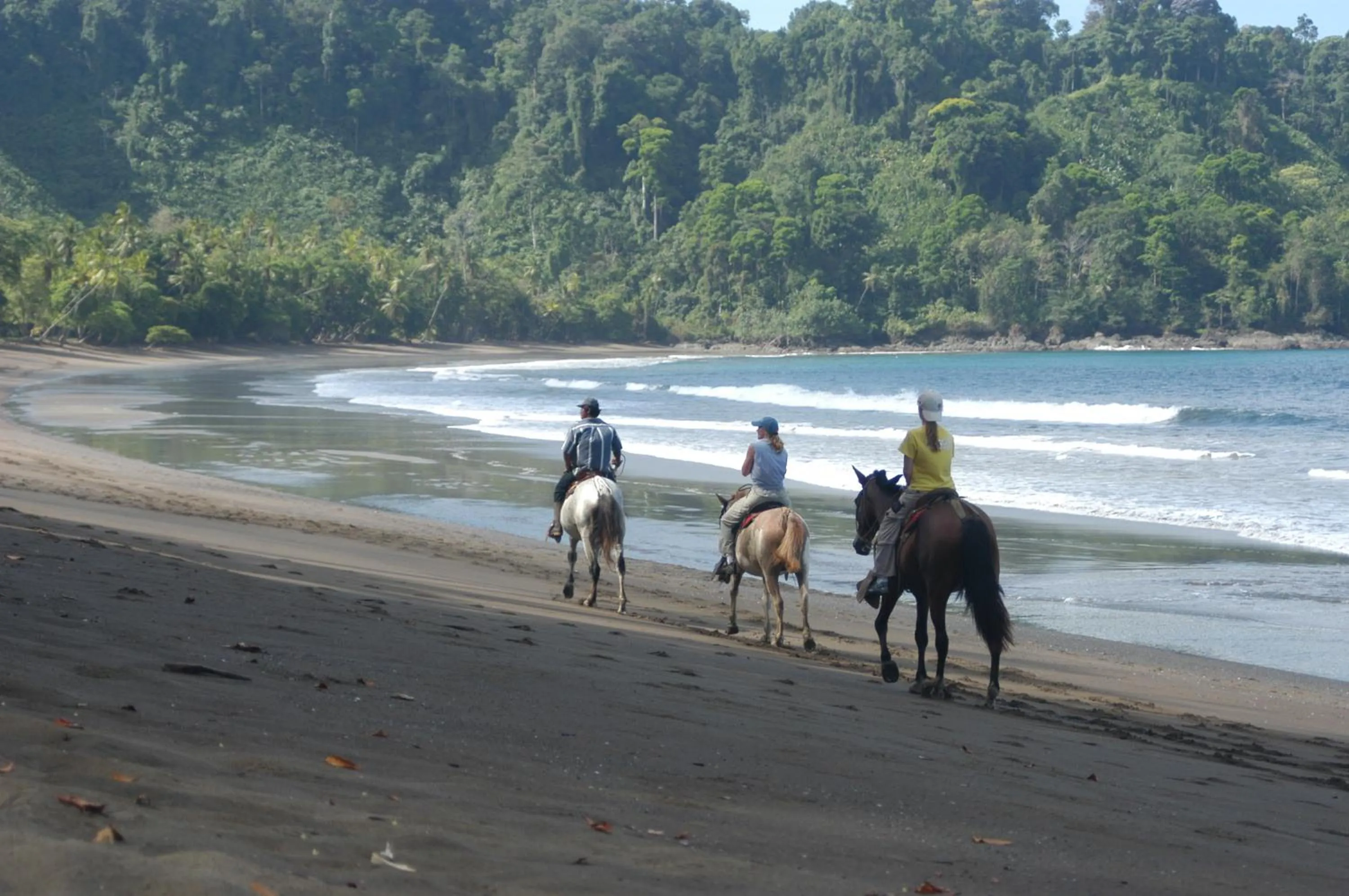 Beach in Hotel Jinetes de Osa