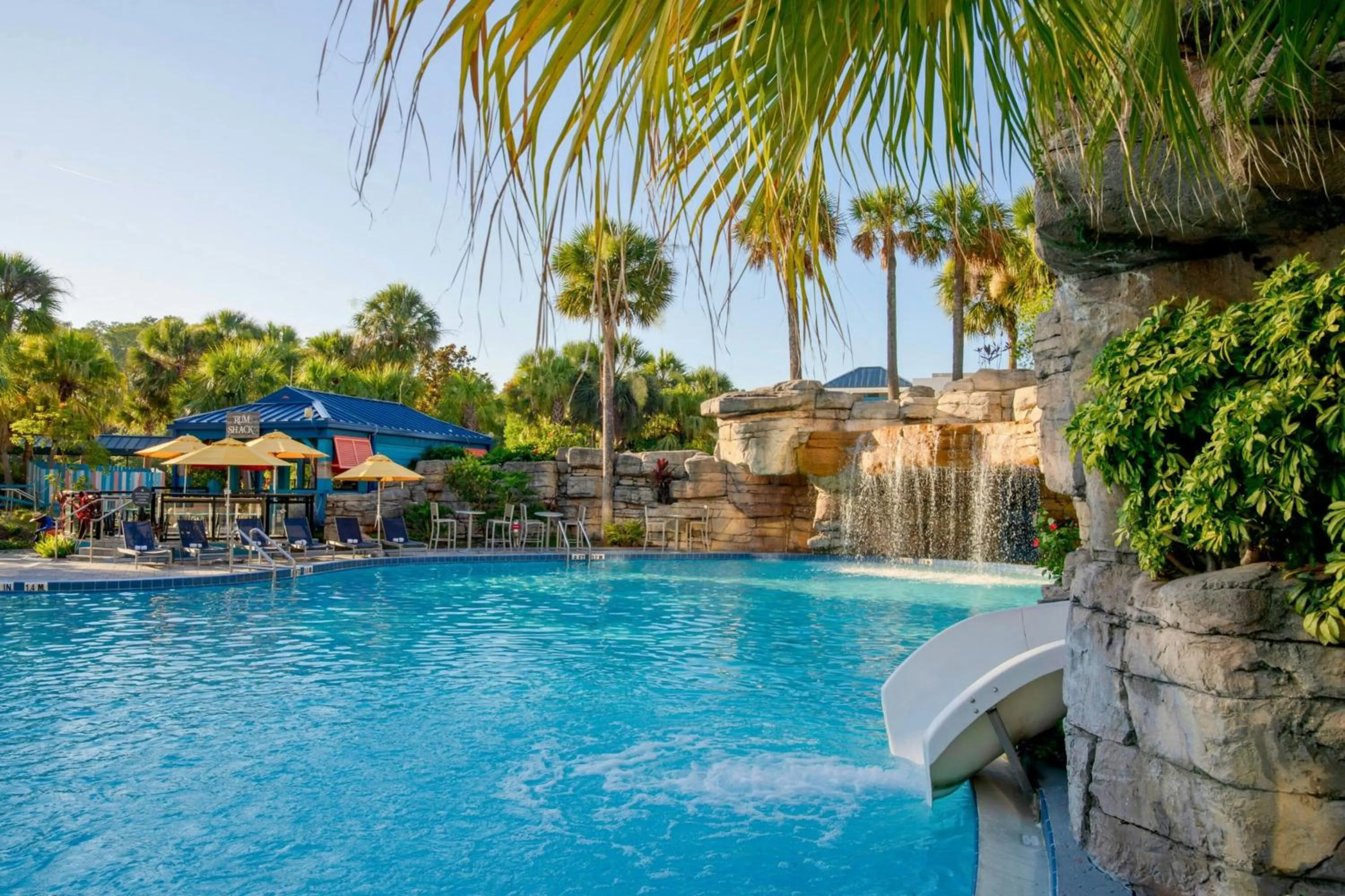 Area and facilities in Delta Hotels by Marriott Orlando Celebration