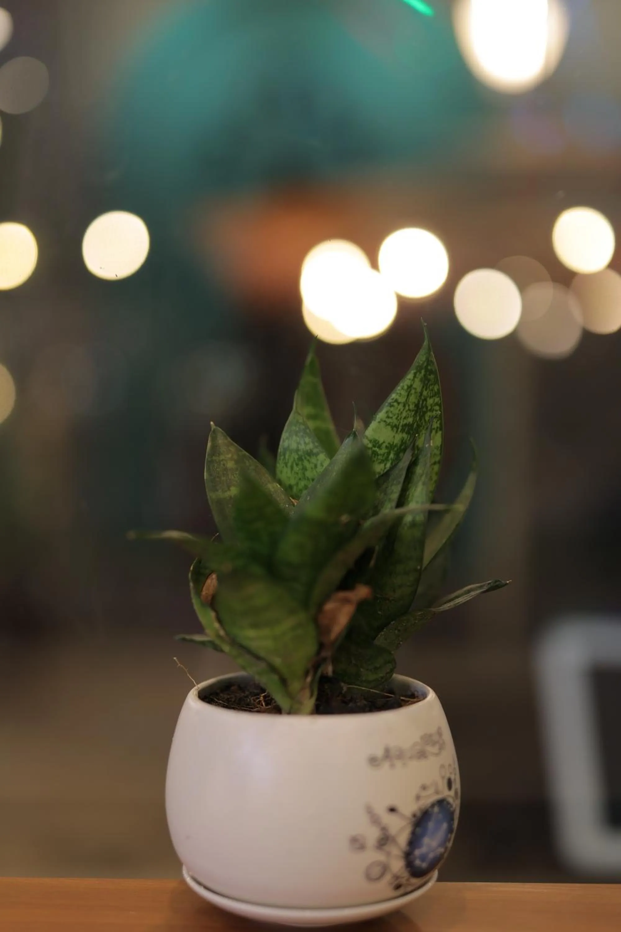 View (from property/room) in Phu My Hung Bungalow