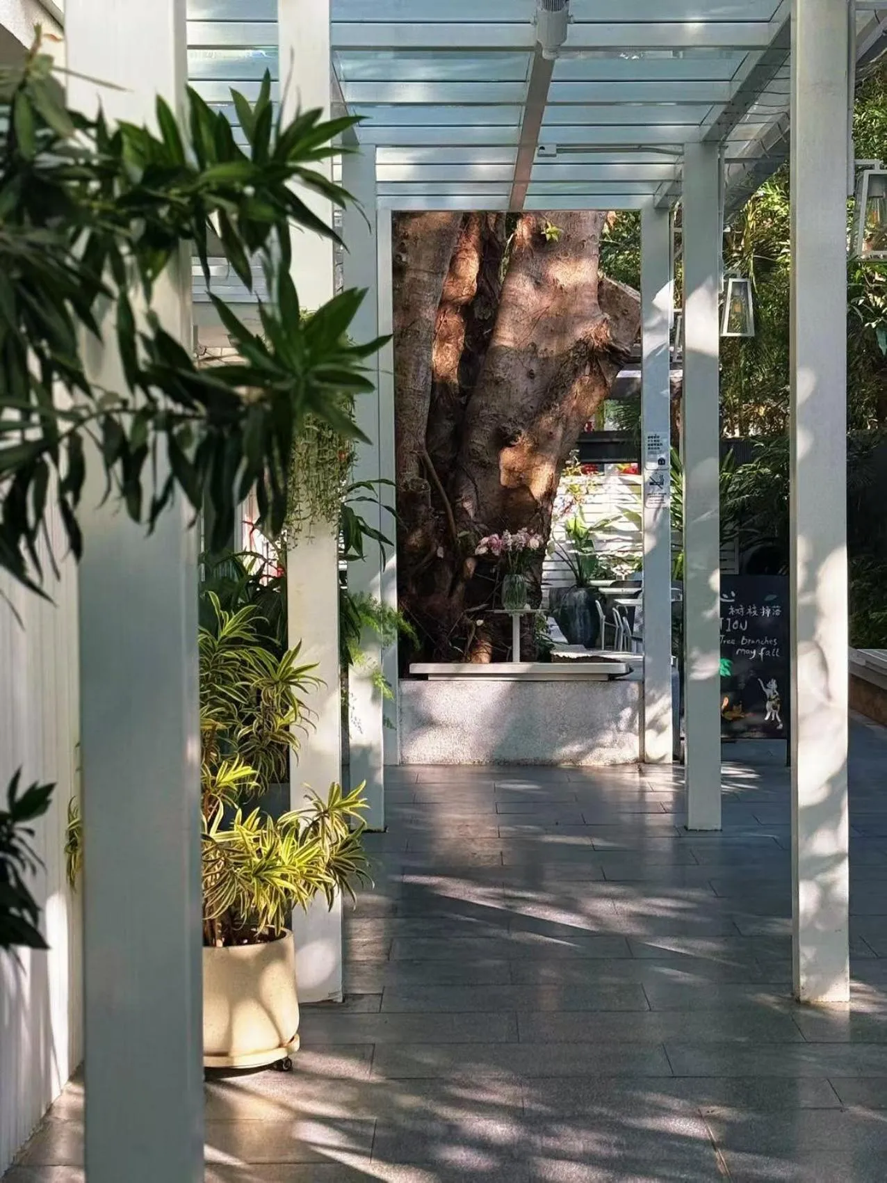 Shenzhen Loft Youth Hostel