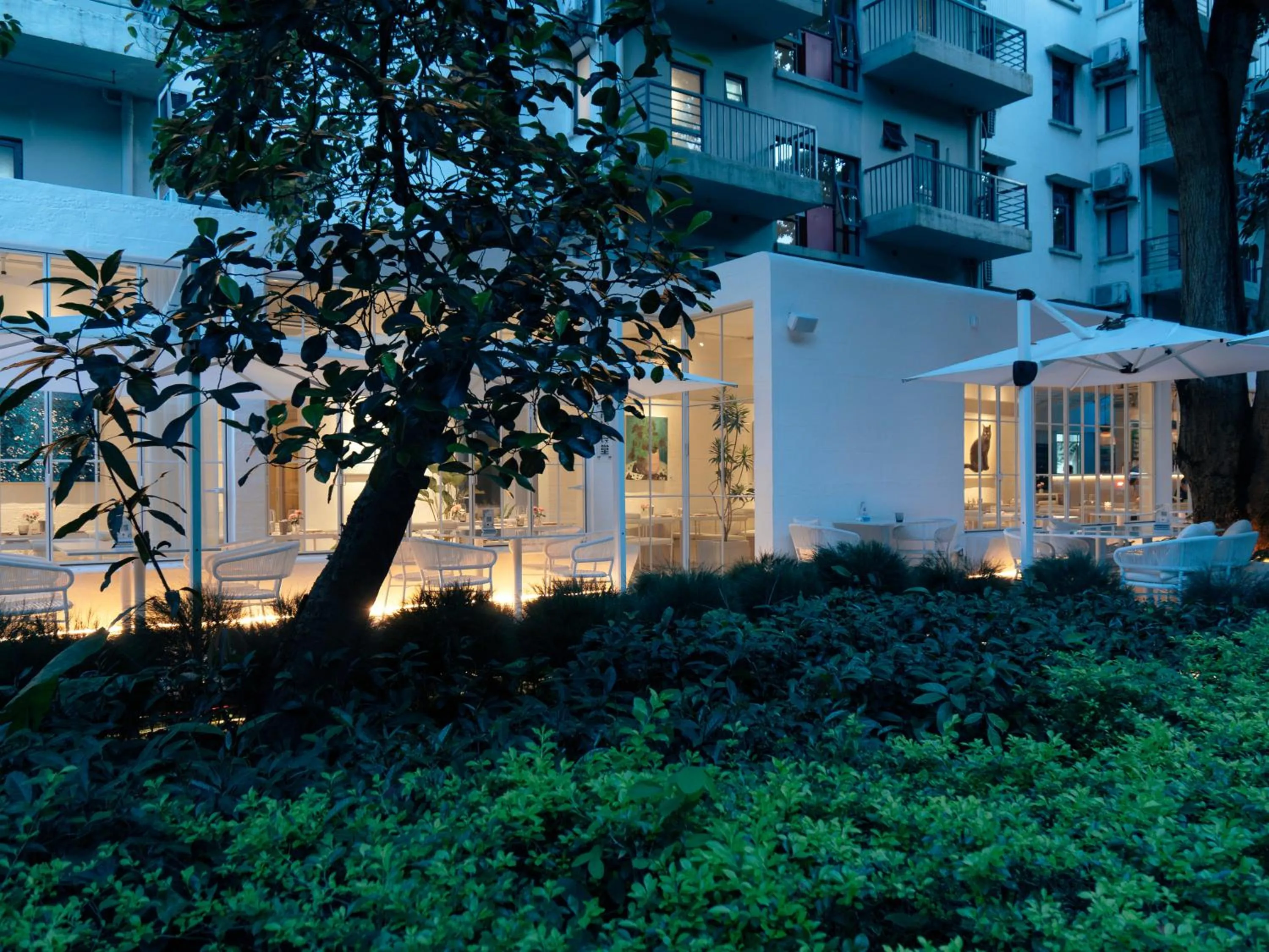 Shenzhen Loft Youth Hostel