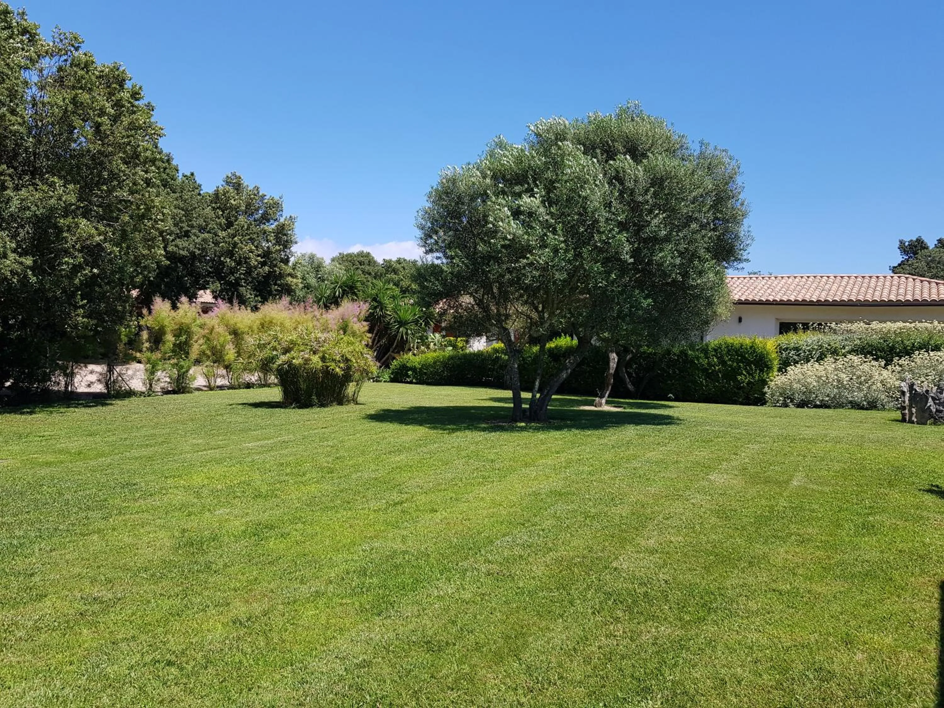 Spring in Poisson Rouge