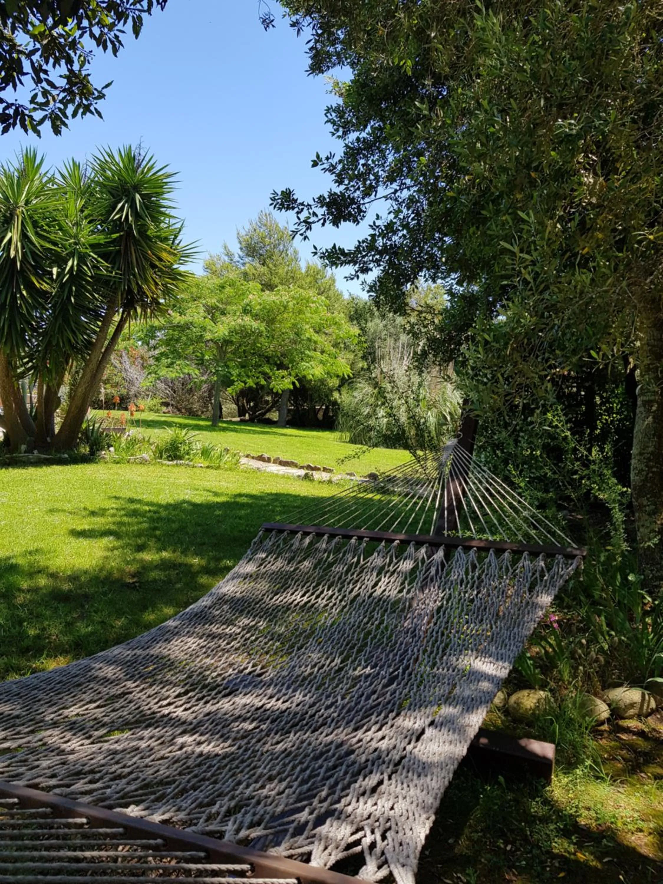 Spring in Poisson Rouge