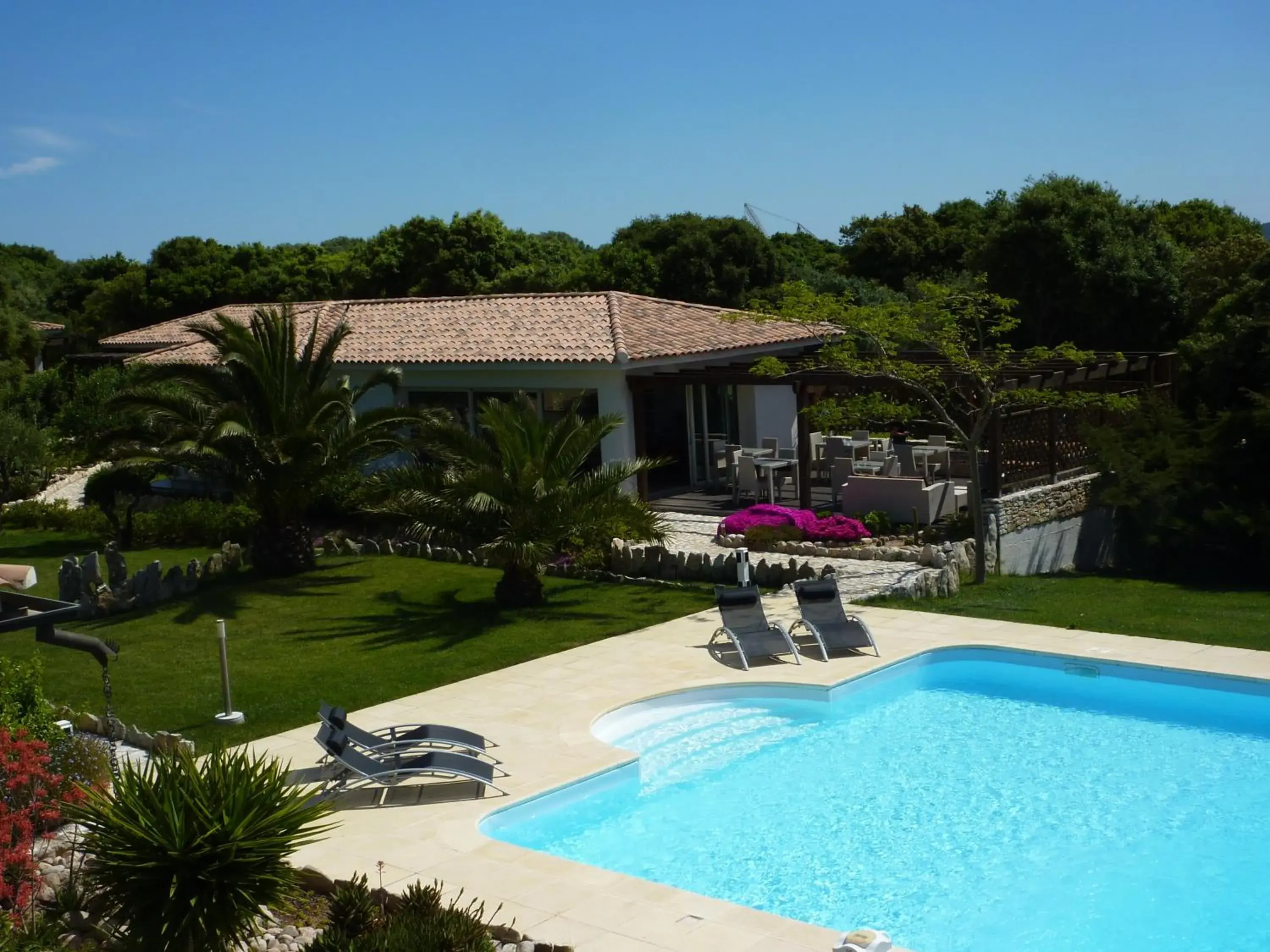 Poisson Rouge Poisson Rouge