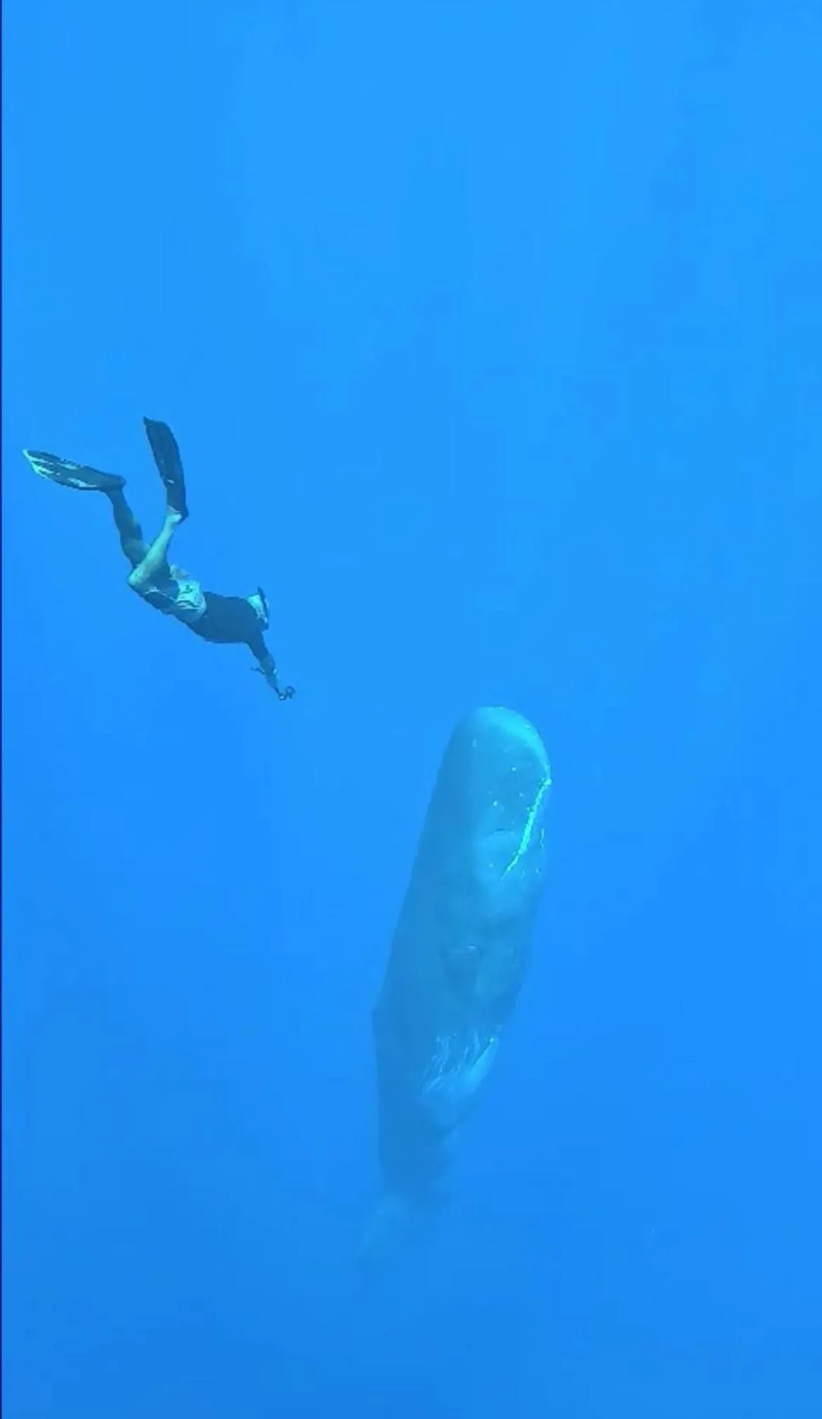 Activities in The Good Life - Eco Lodges & Serenity Boutique Hotel - Adults Only