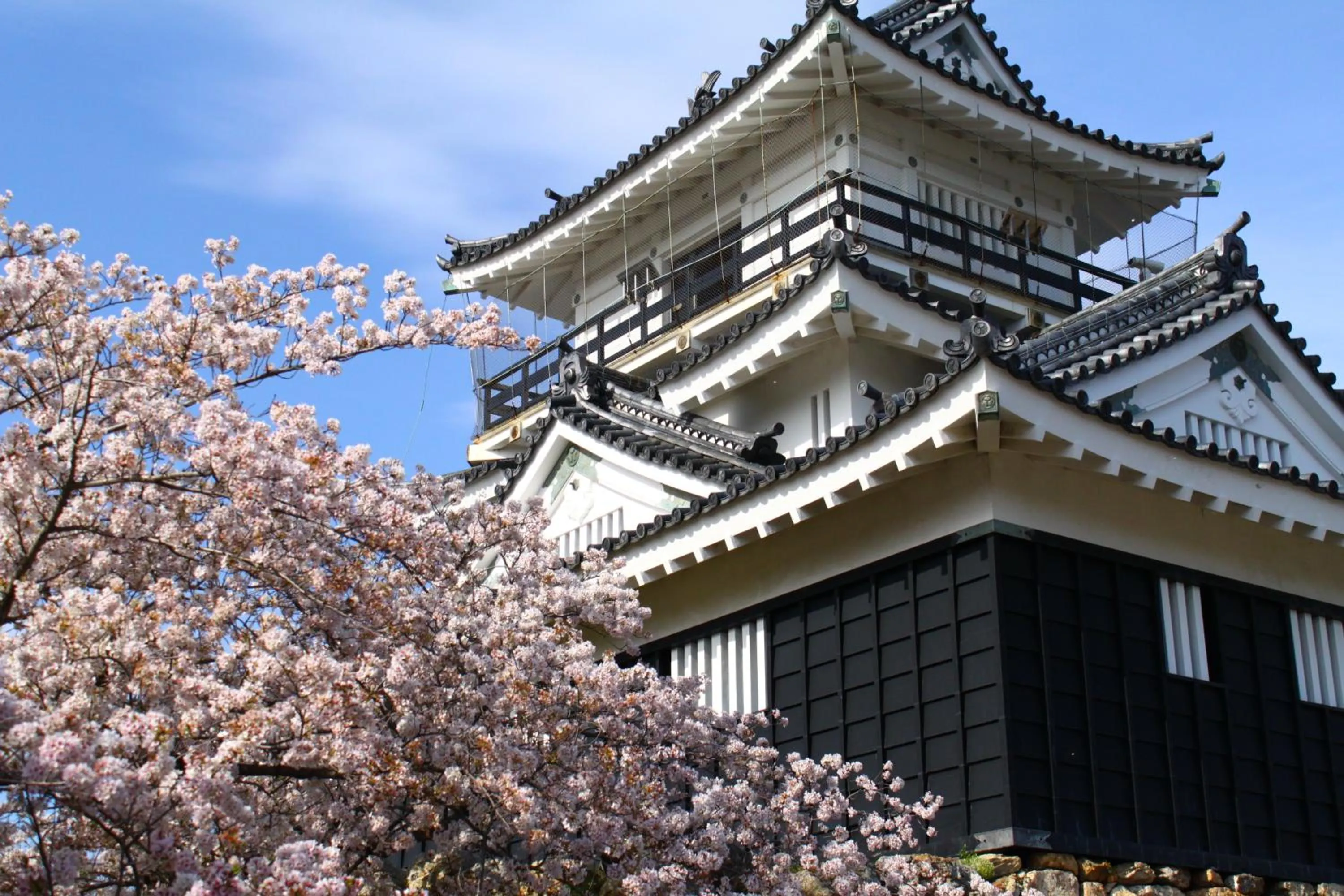 Nearby landmark in Hotel Concorde Hamamatsu