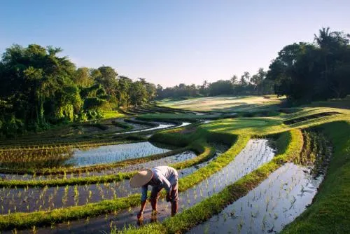 People in Villa Mandala