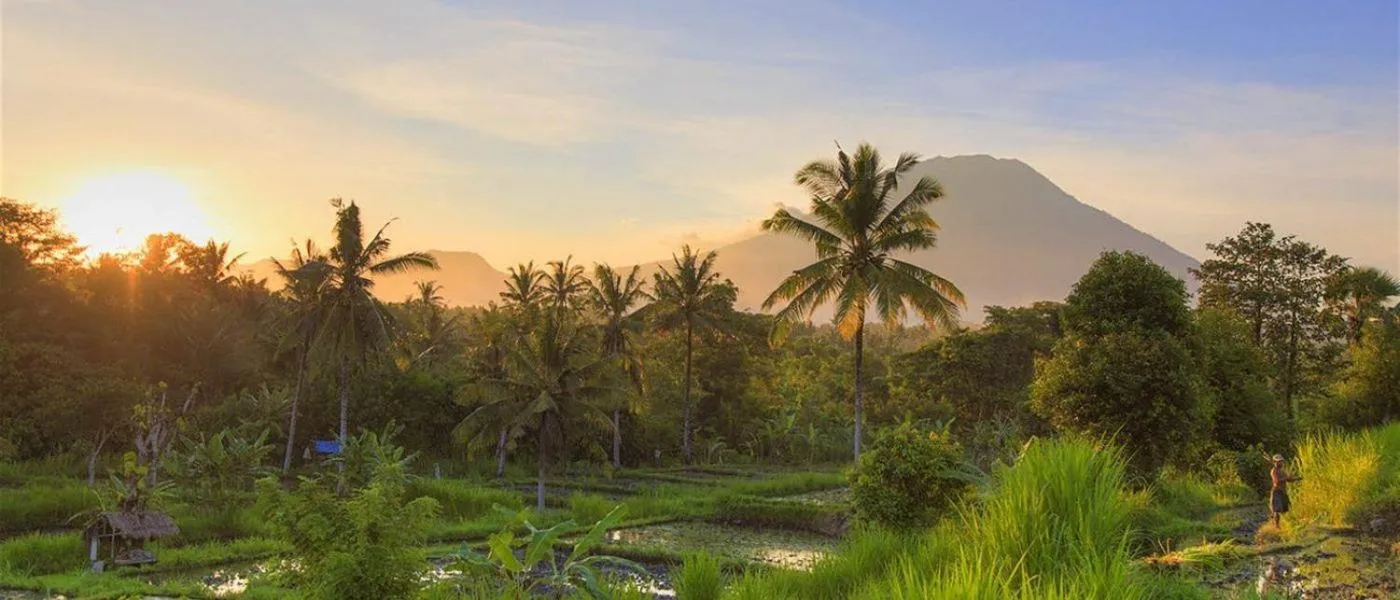 Natural landscape in Villa Mandala