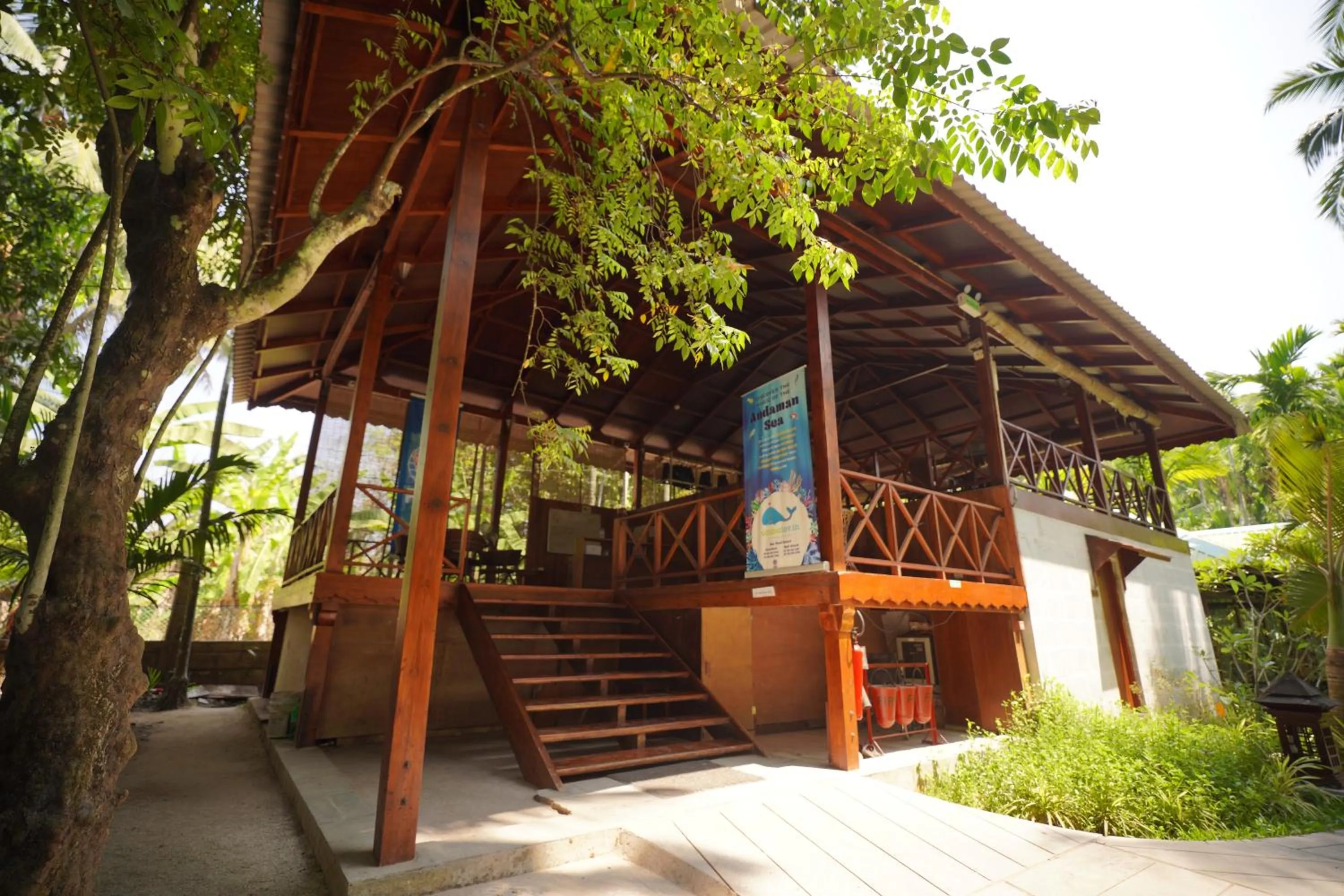 Activities in Sea Shell Neil