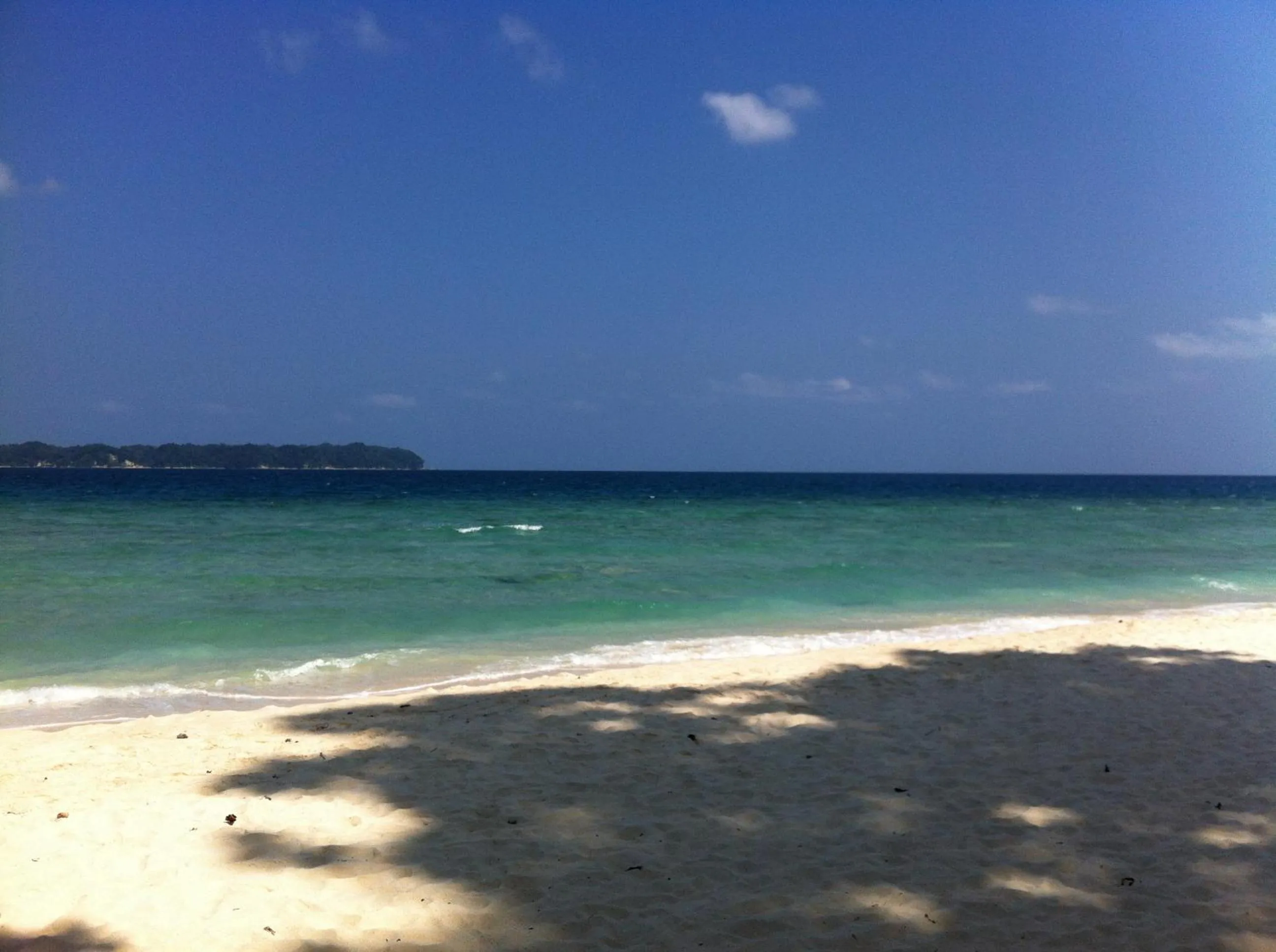 Beach in Sea Shell Neil
