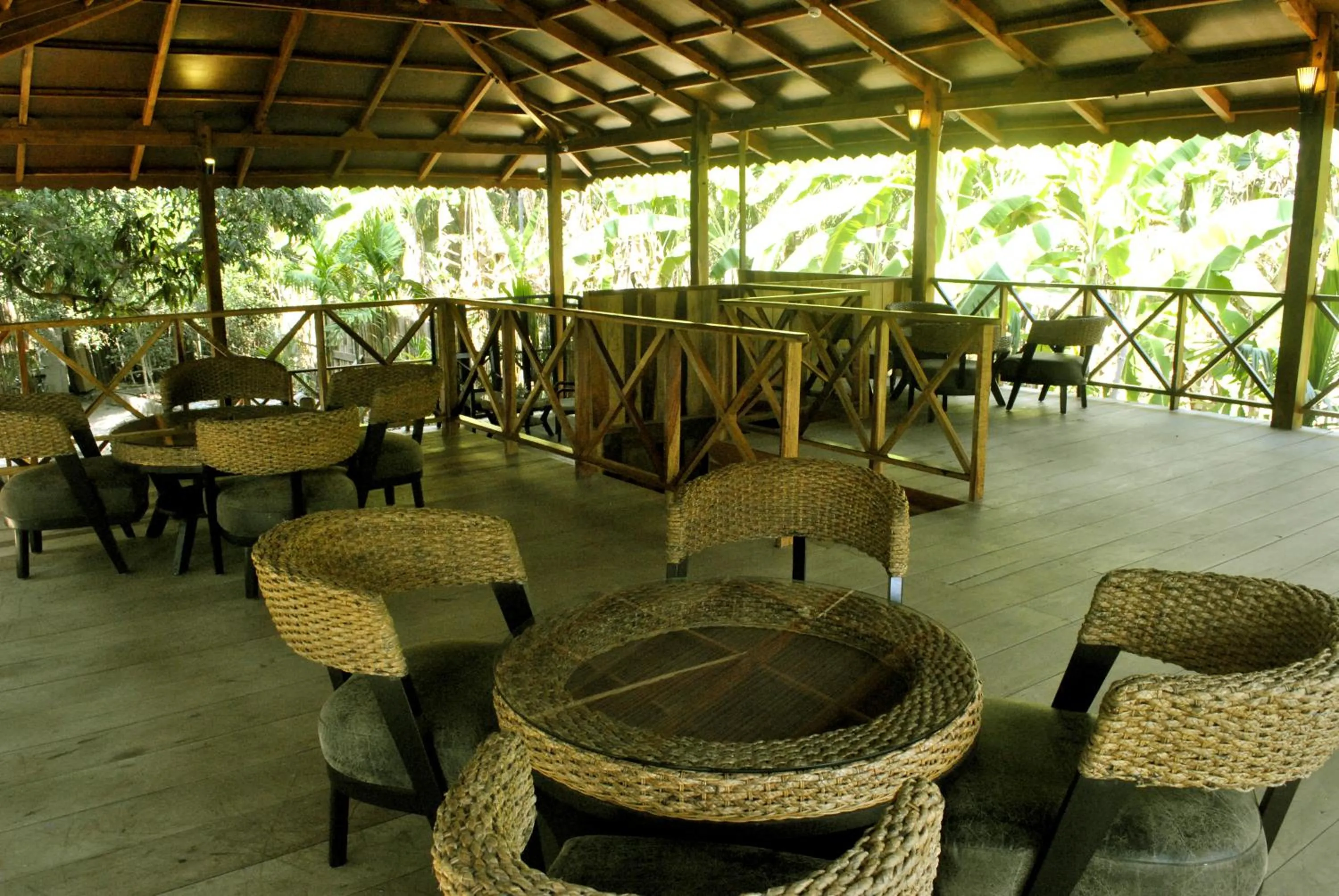 Day in Sea Shell Neil