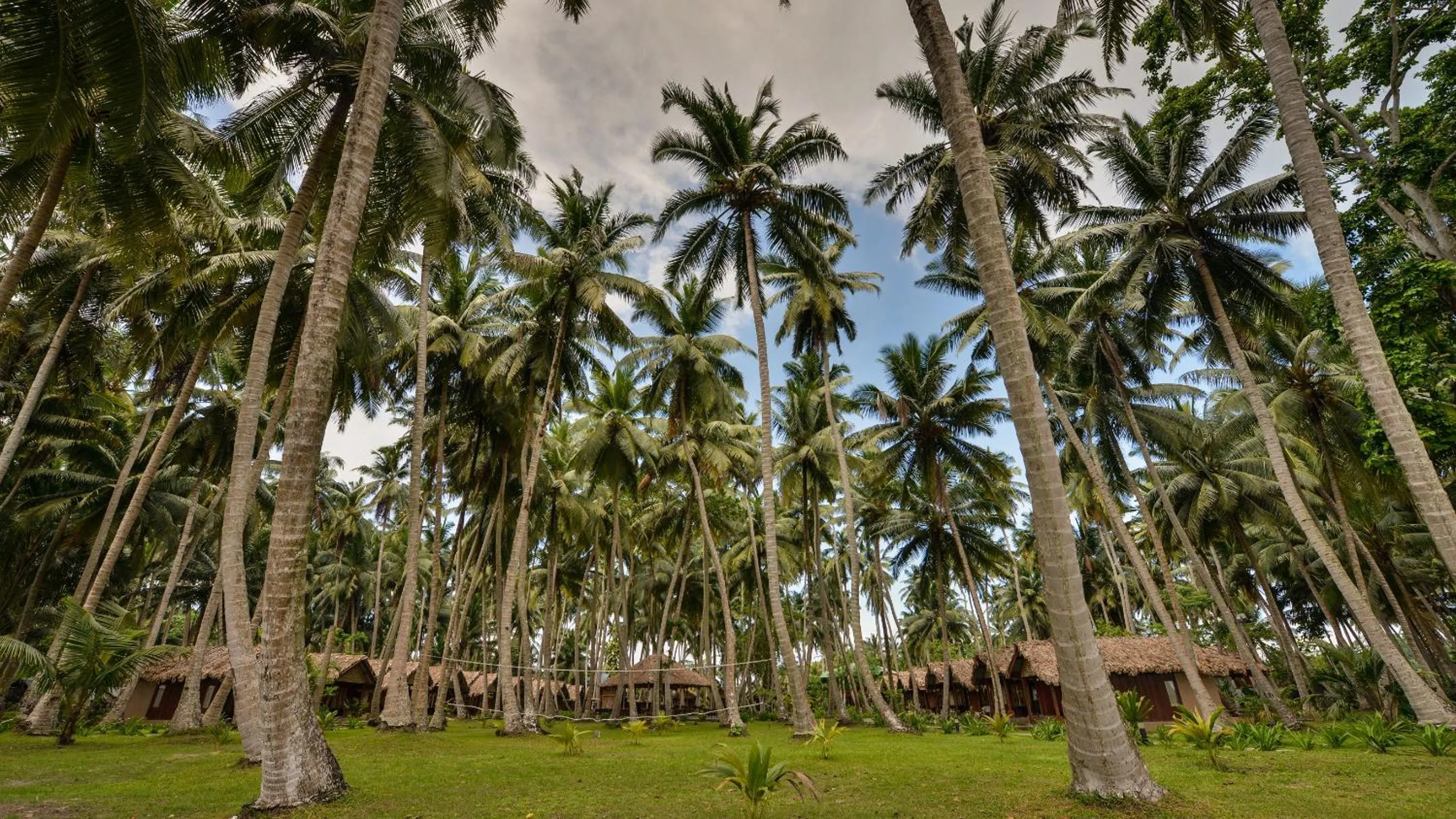 Garden in Sea Shell Resort & Spa, Havelock