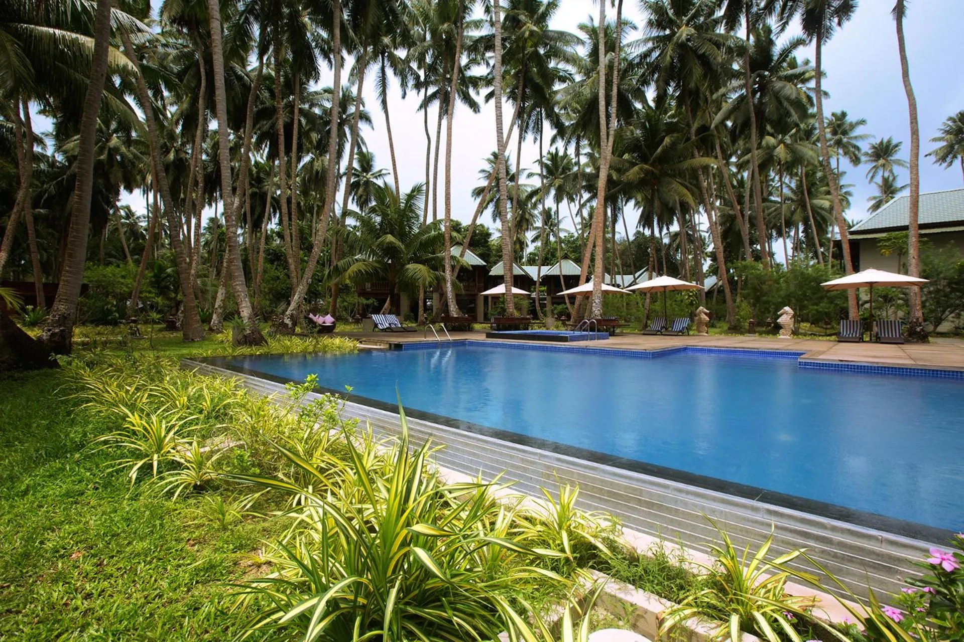 Swimming pool in Sea Shell Resort & Spa, Havelock