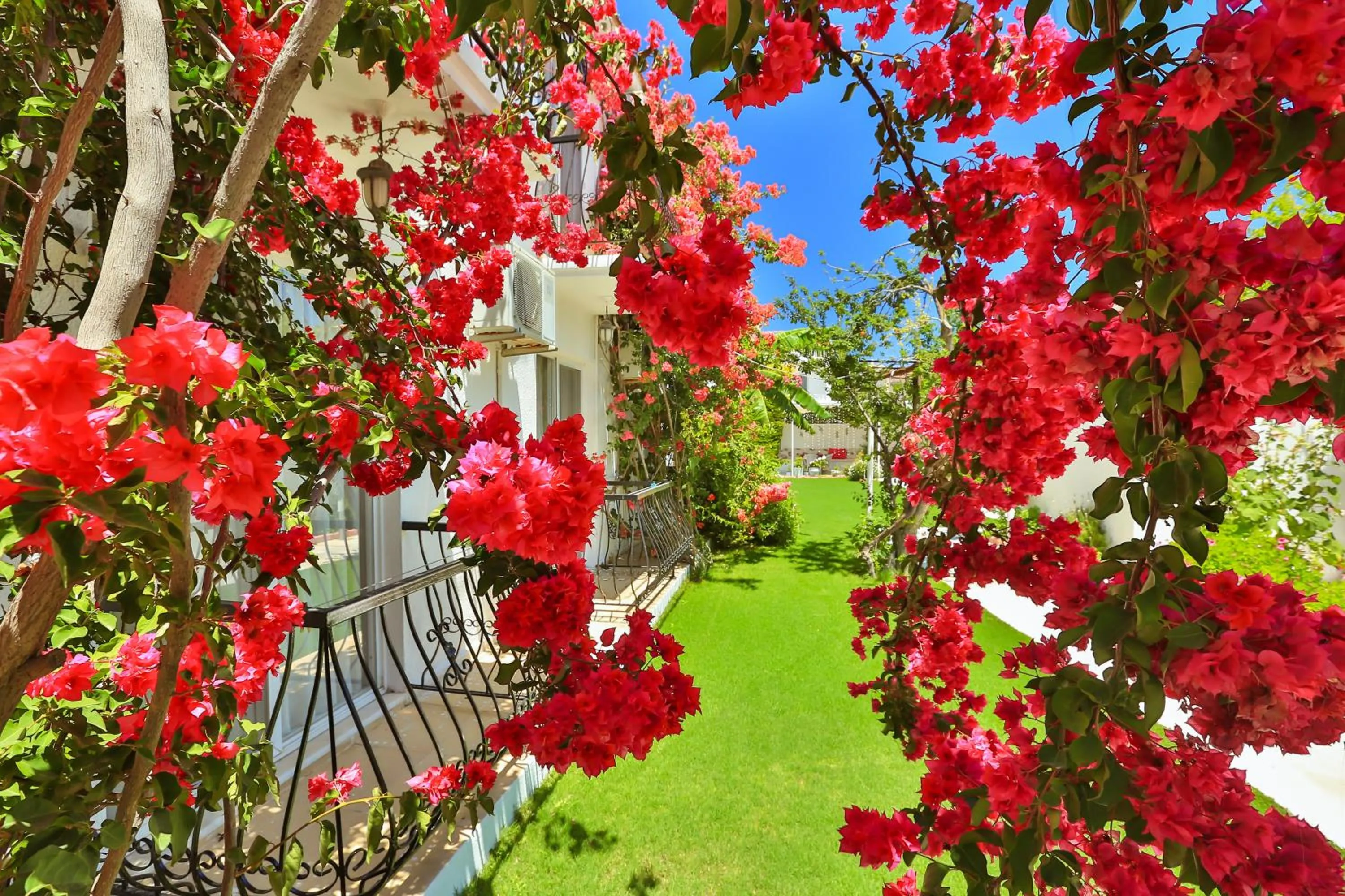 Spring in Kiraz Butik Hotel