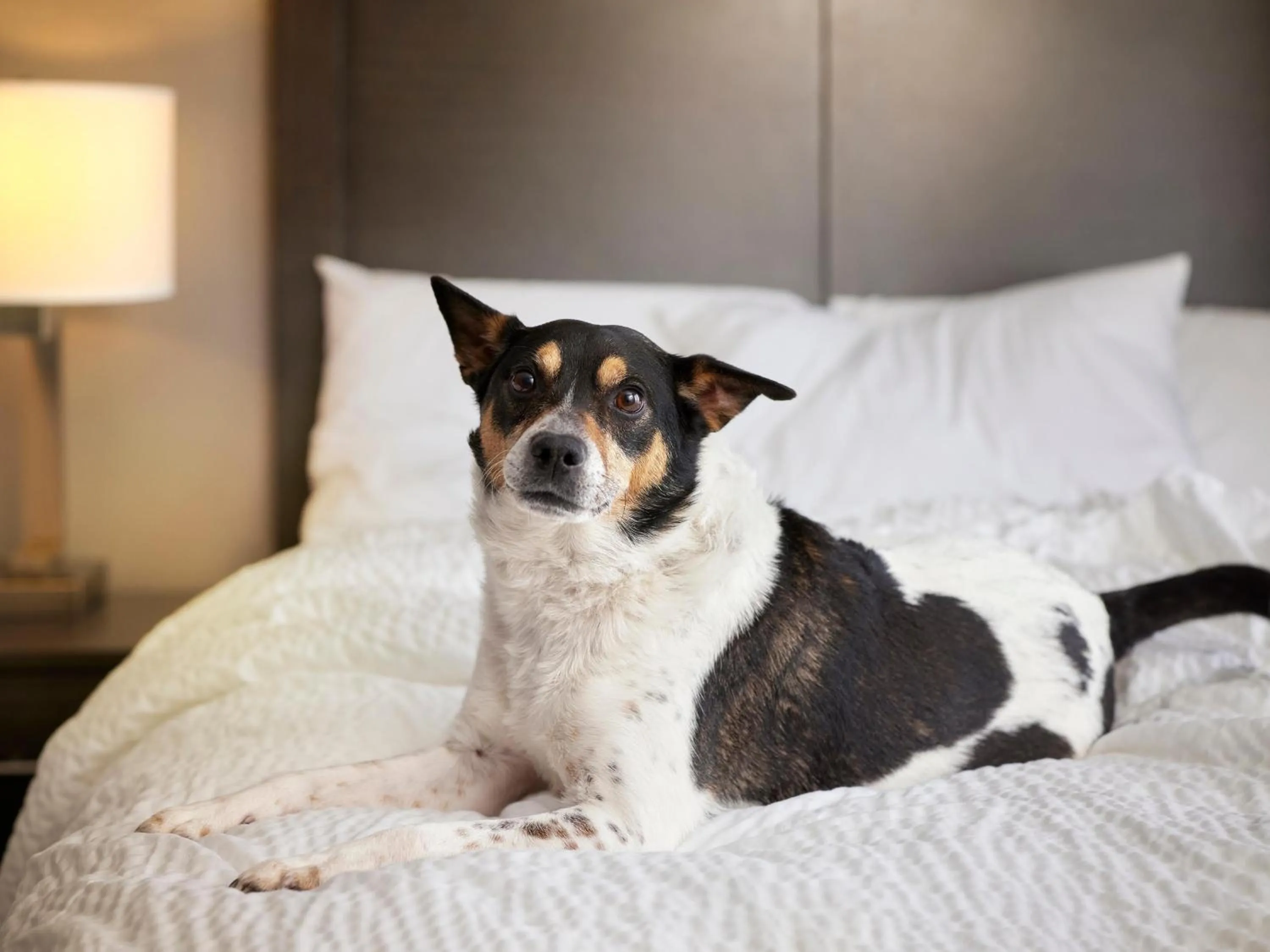 Decorative detail in Garner Hotel Klagenfurt - Moser Verdino by IHG