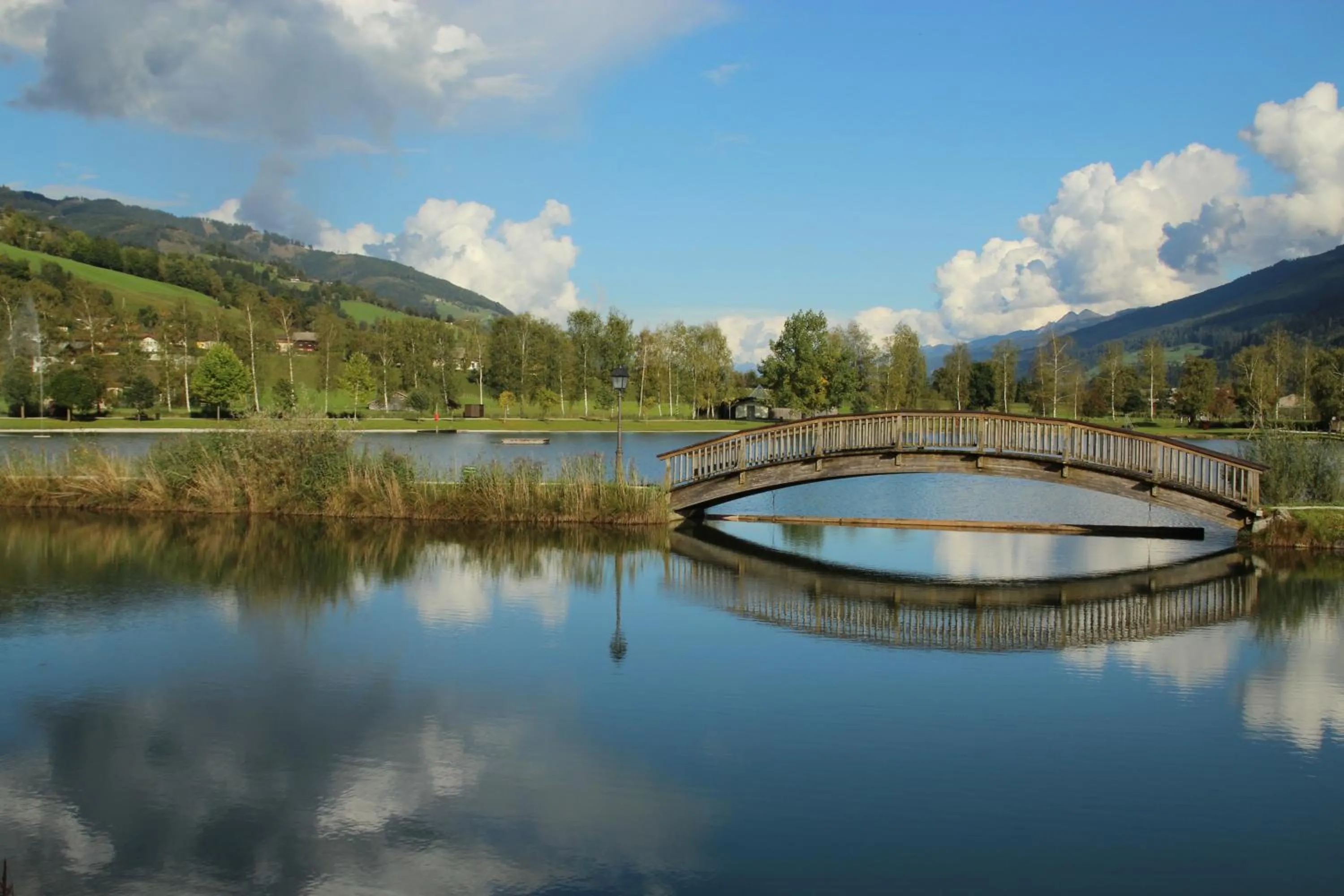 Lake view in Apartment Haus am See