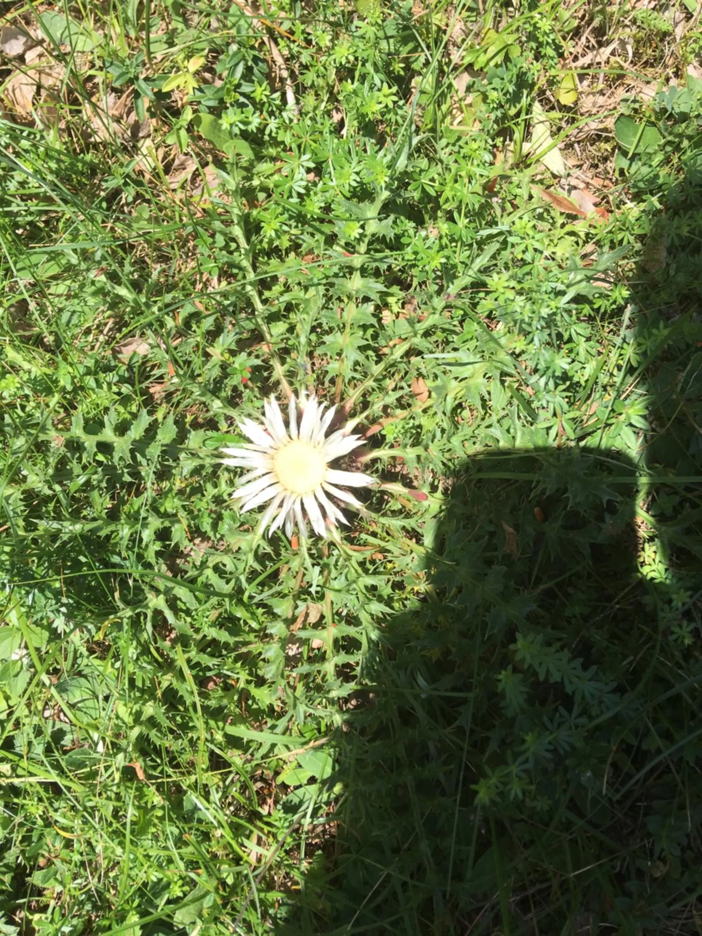 Hiking in Apartment Haus am See