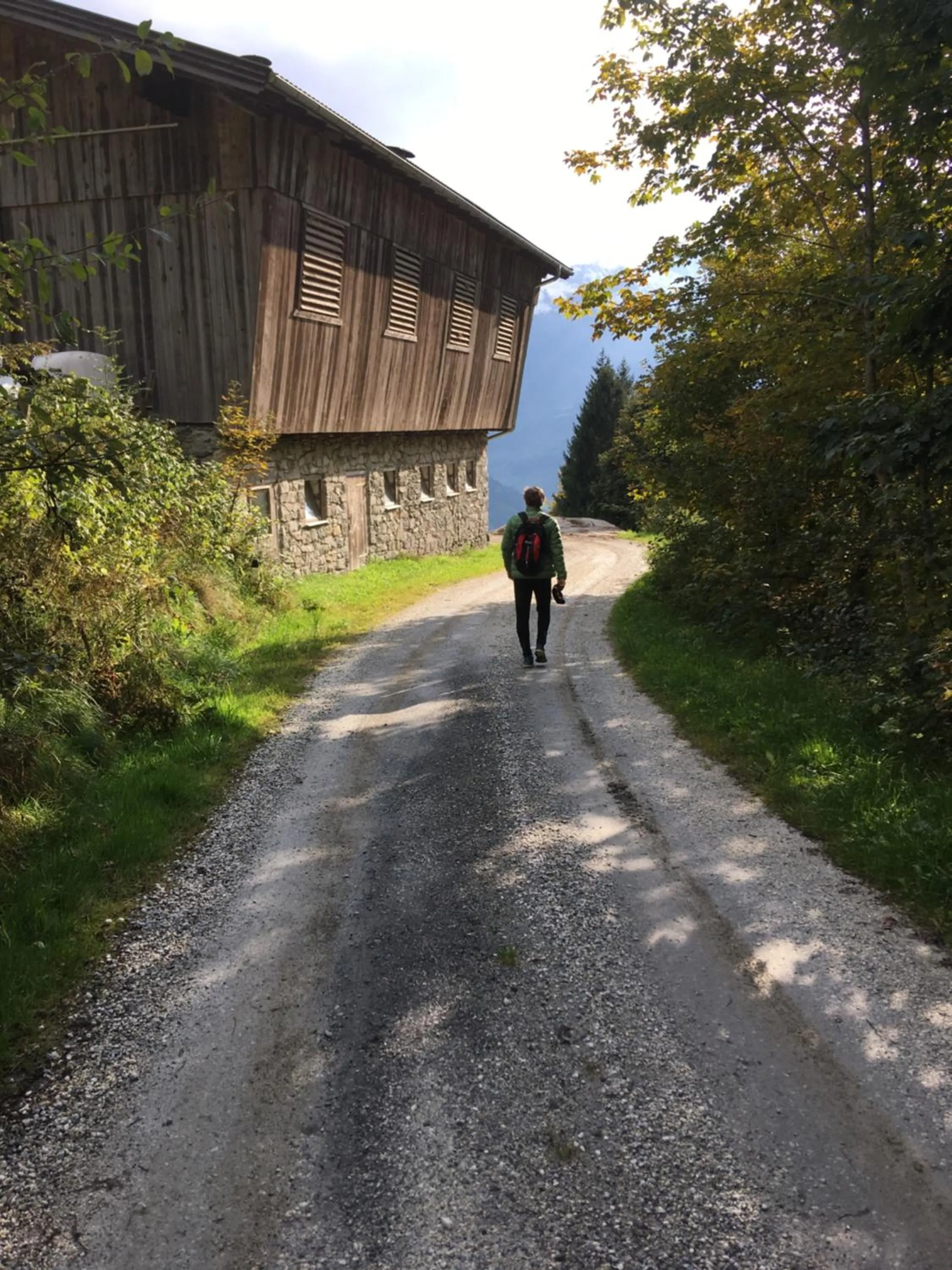 Hiking in Apartment Haus am See