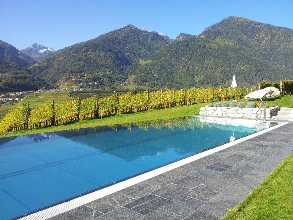 Swimming pool in Hotel Pacherhof