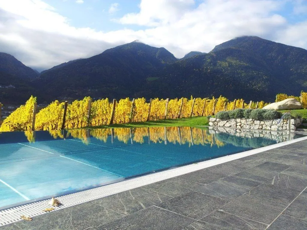 Swimming pool in Hotel Pacherhof