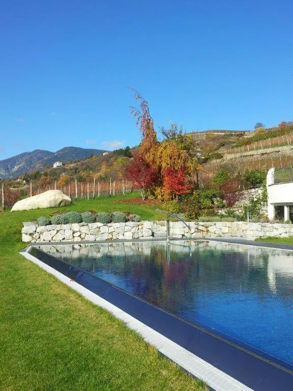Swimming pool in Hotel Pacherhof