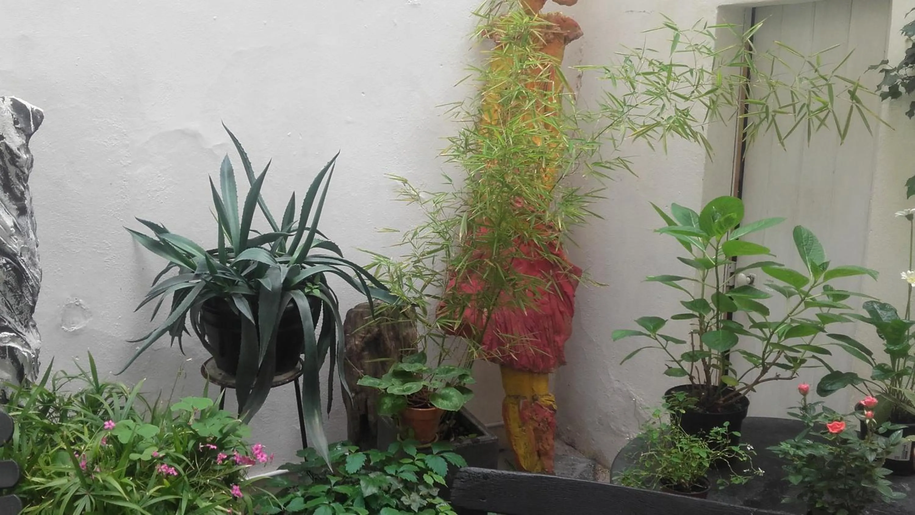 Garden view in Ô Anges