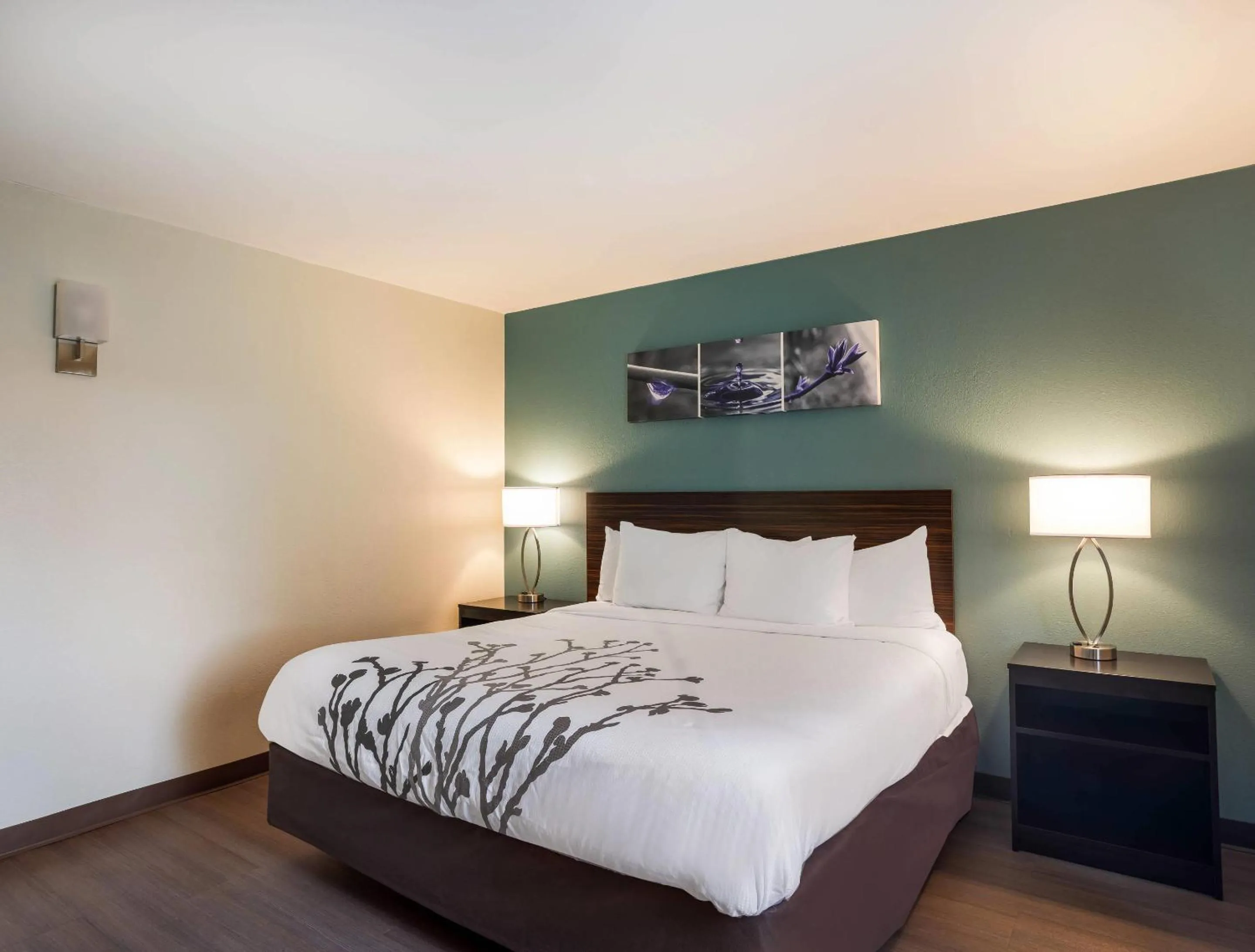 Bedroom, Bed in Sleep Inn Savannah Midtown