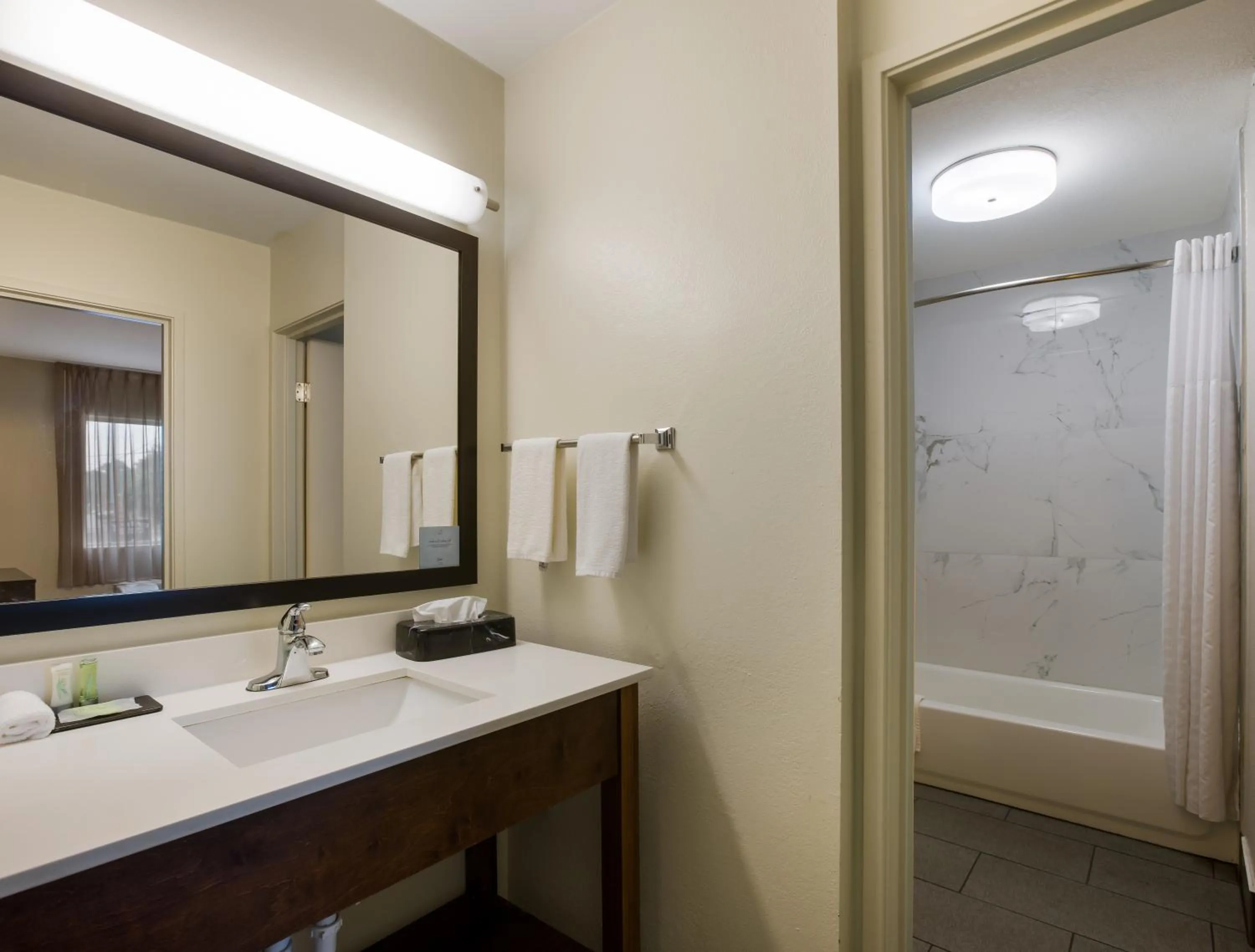 Shower in Sleep Inn Savannah Midtown