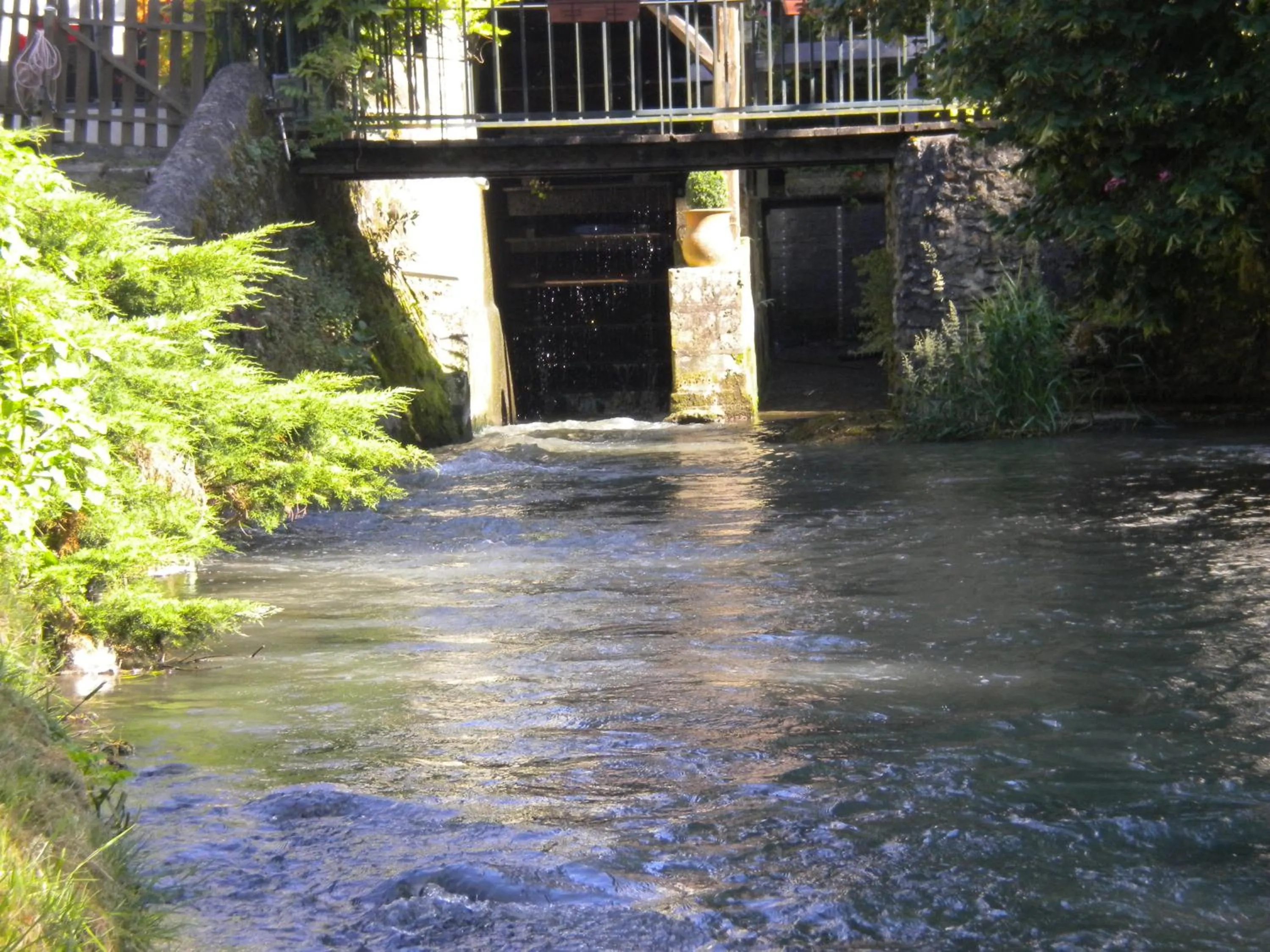Fishing in Le Moulin Garnier