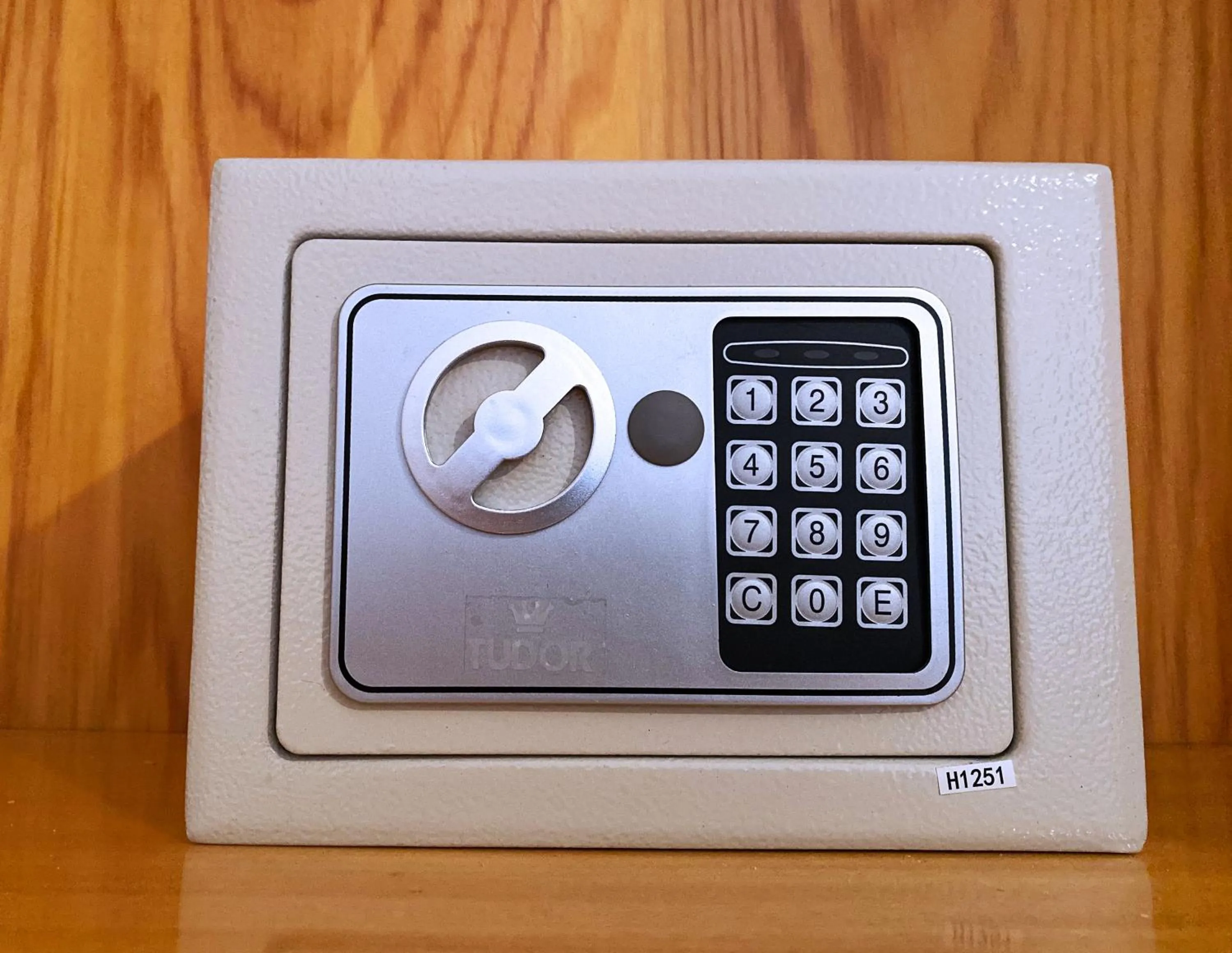 safe in VILLA MOLINELLA