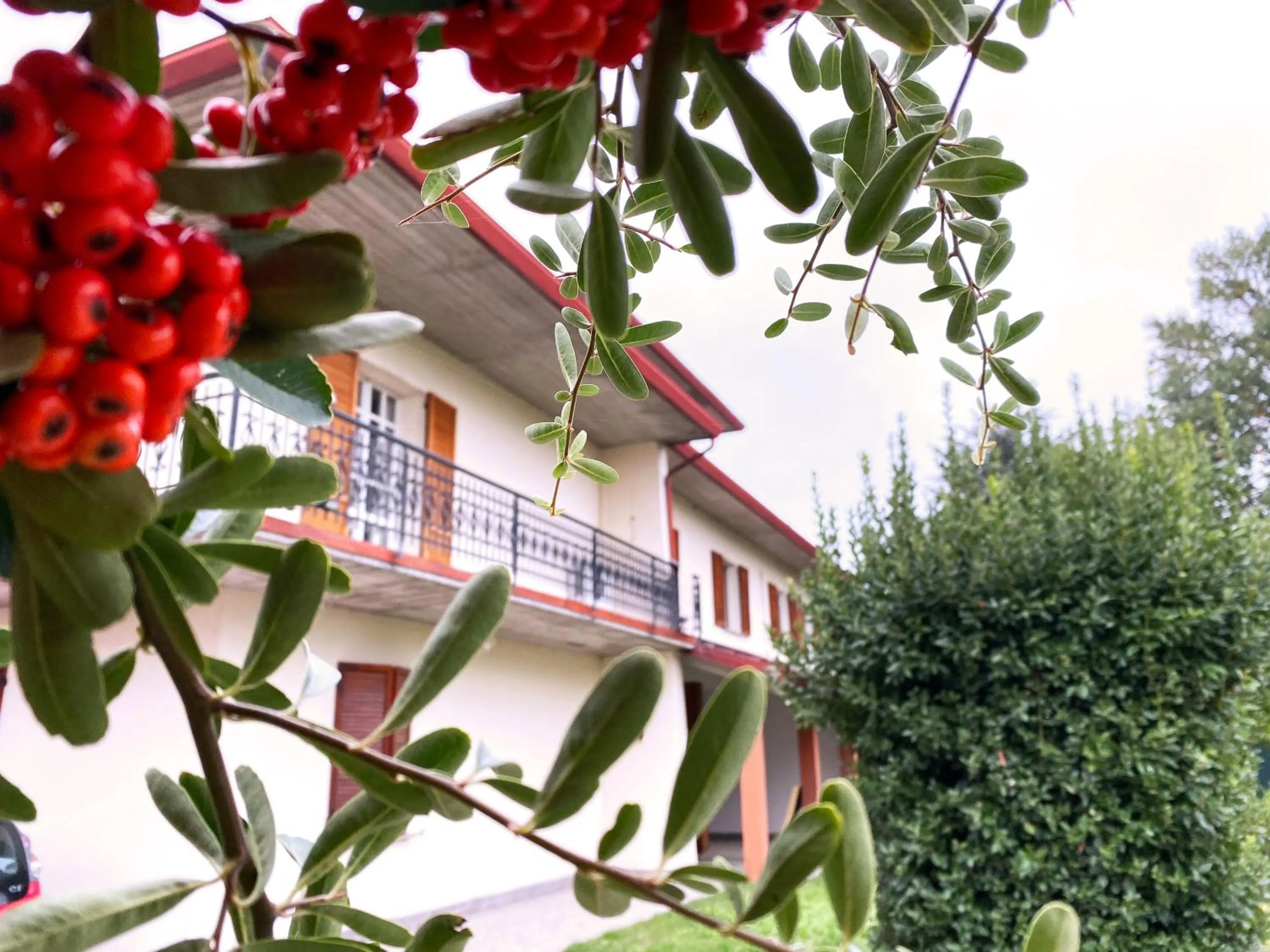 Property building in VILLA MOLINELLA