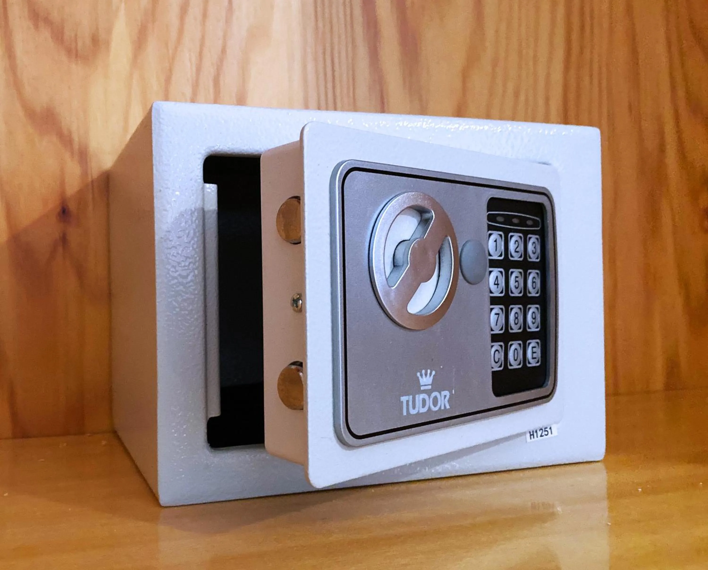 safe in VILLA MOLINELLA