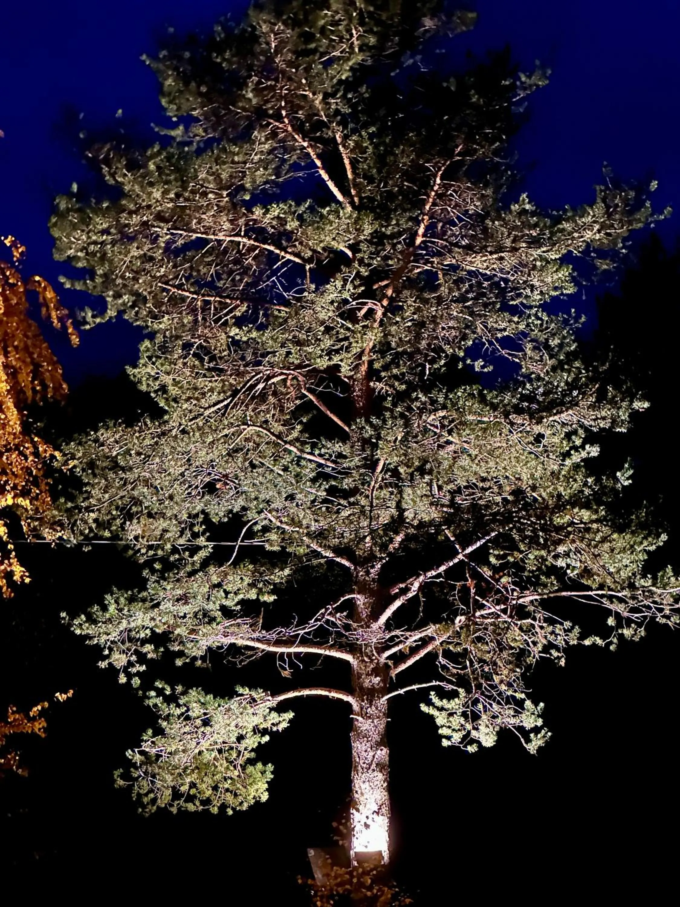 Natural landscape in Arctic Shaman Adventures -Jurtta