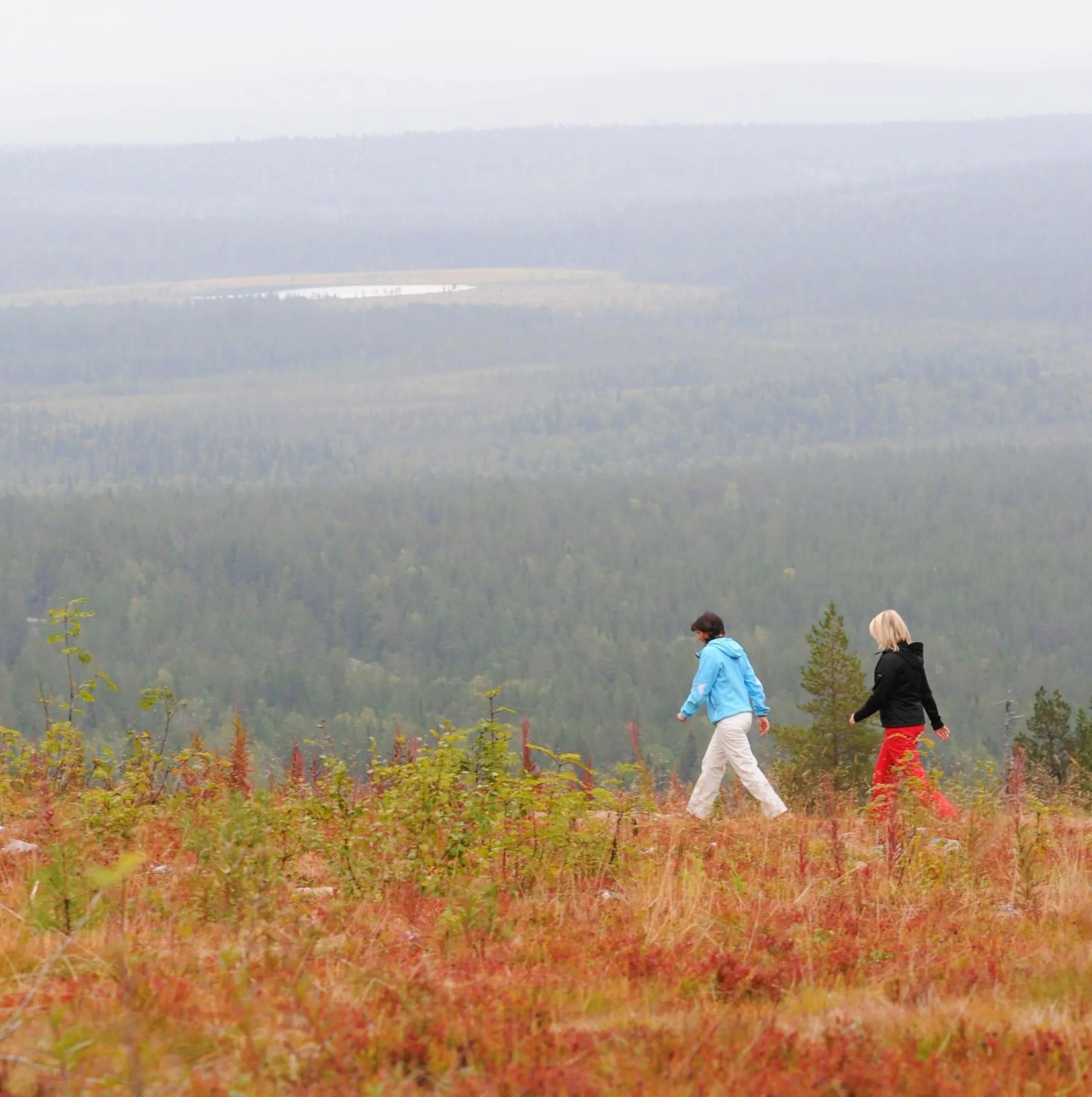 Activities in Arctic Shaman Adventures -Jurtta