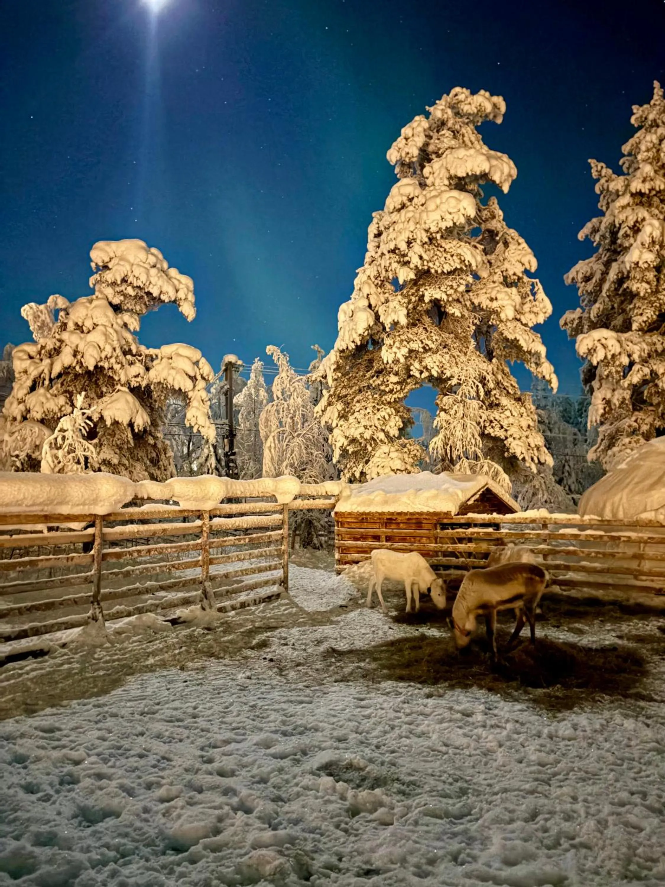 Property building in Arctic Shaman Adventures -Jurtta