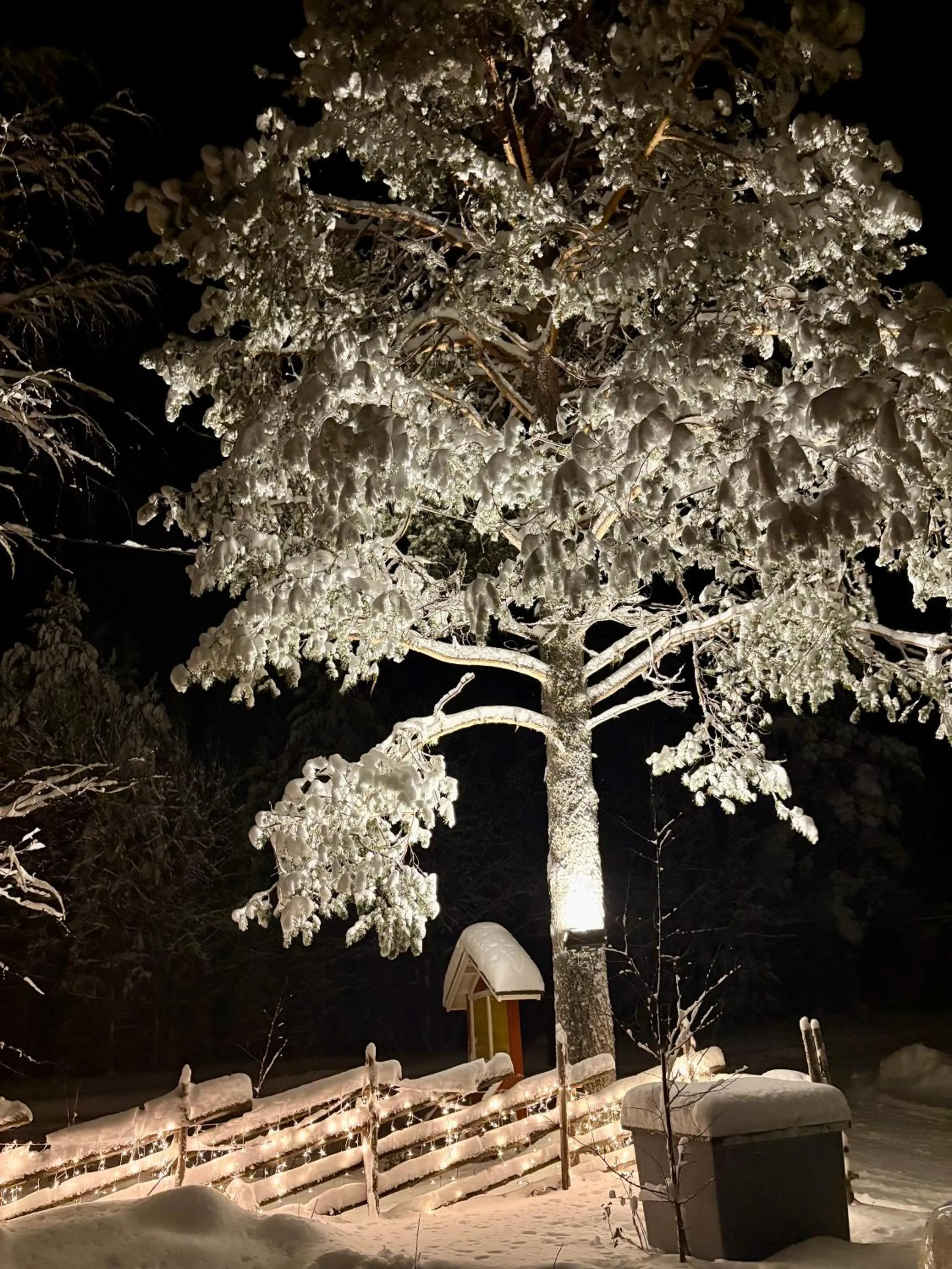 Arctic Shaman Adventures -Jurtta