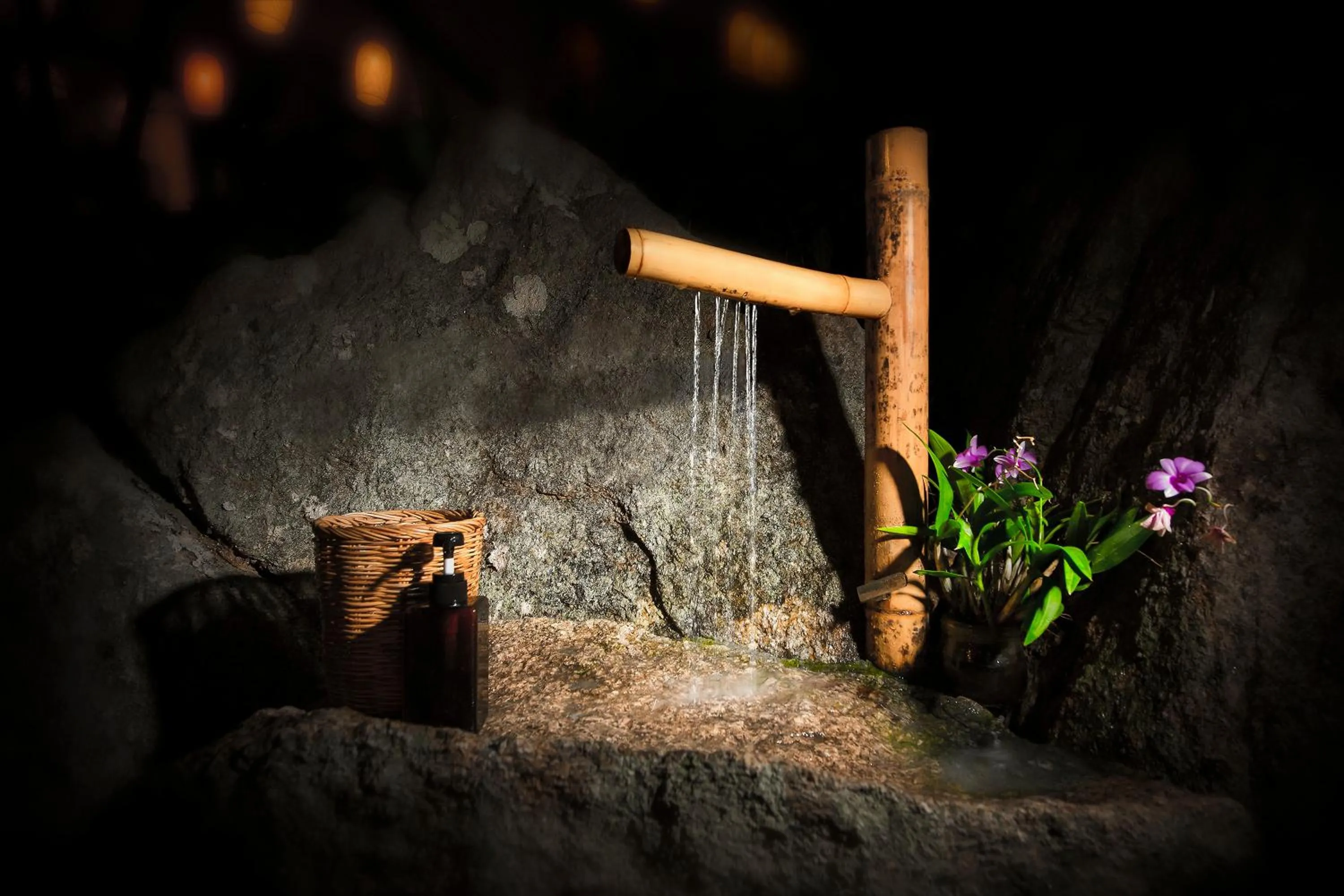 Area and facilities in Ecotao Lodge