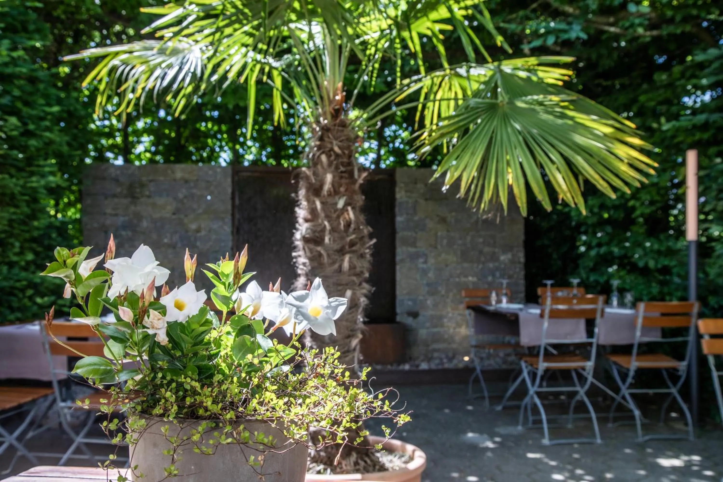 Restaurant/places to eat in Gasthof Enge Self Check-In Hotel