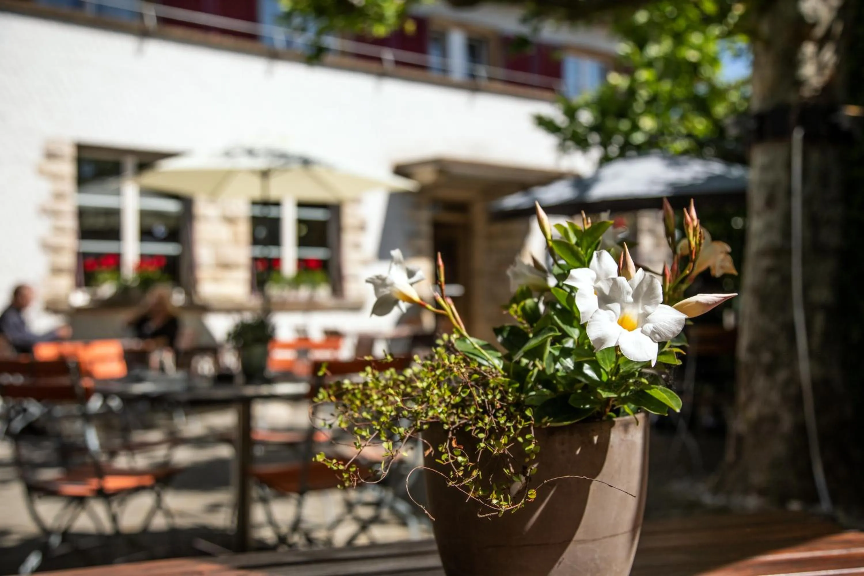 Restaurant/places to eat in Gasthof Enge Self Check-In Hotel